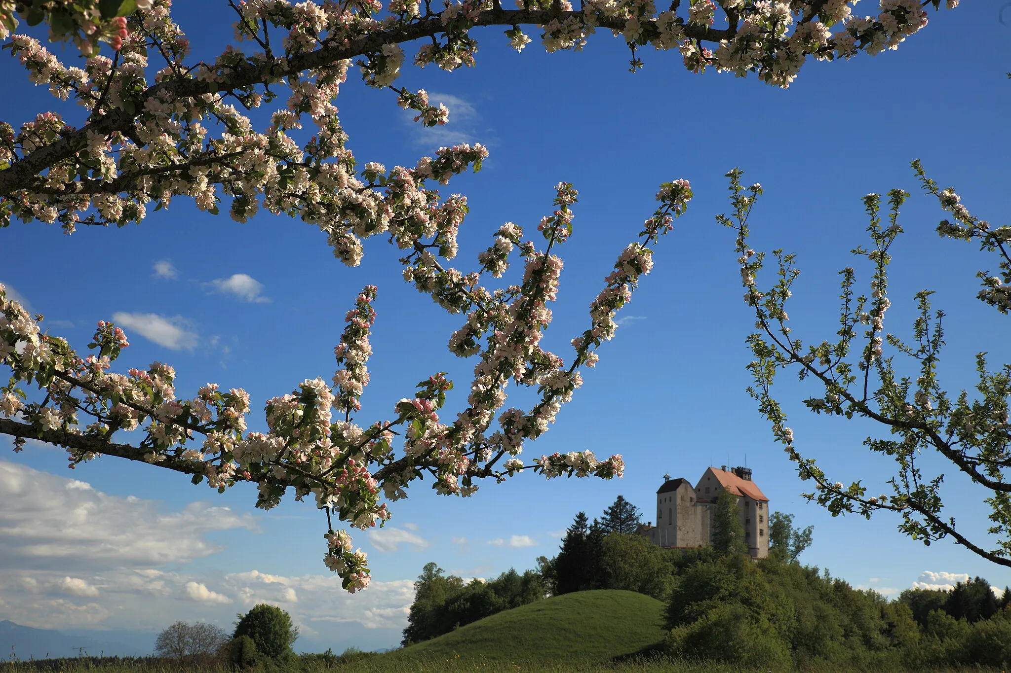 Photo showing: The North West View of Waldburg