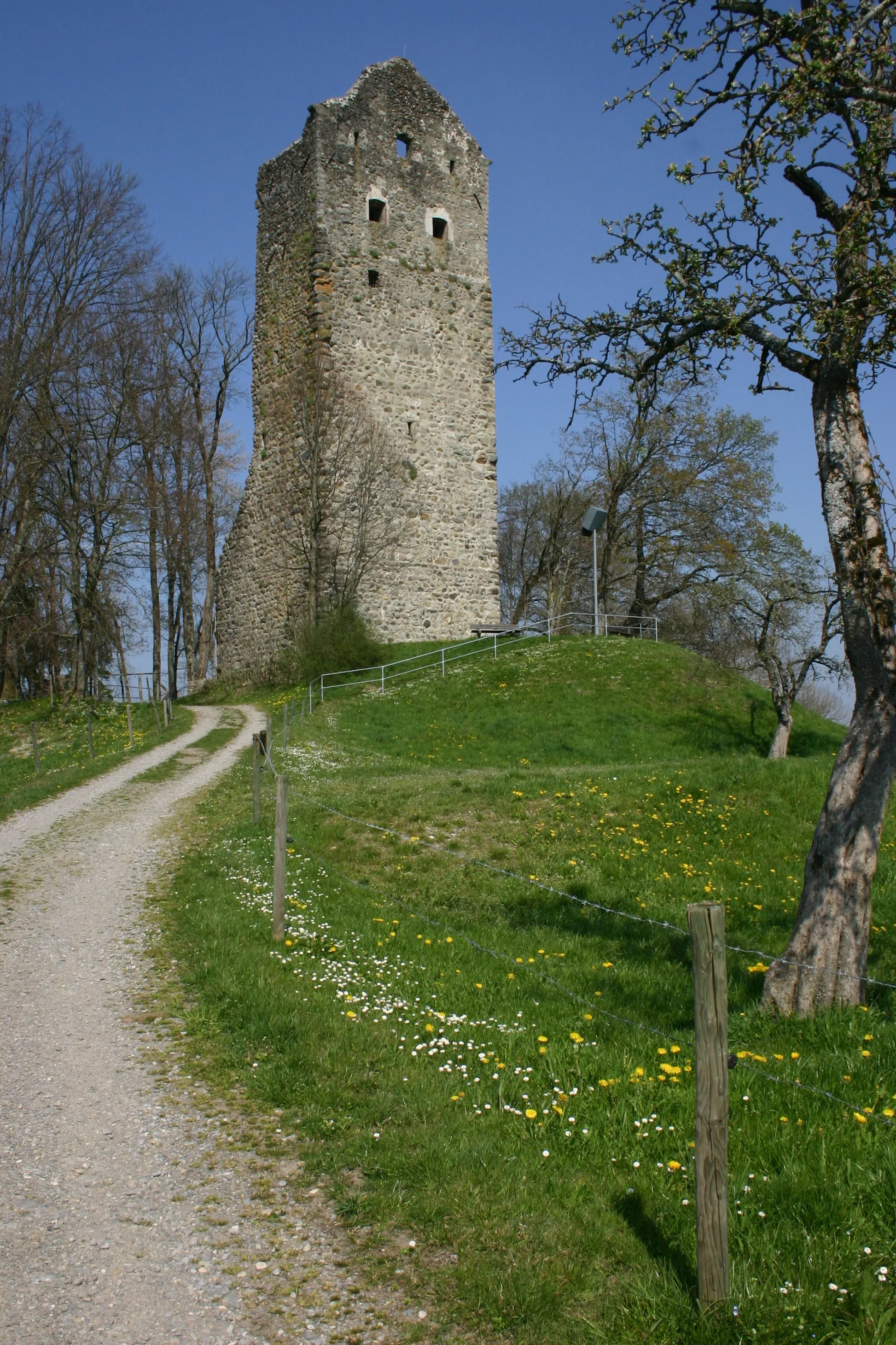 Photo showing: Castle ruin "Neuravensburg" in Wangen im Allgäu, southeast Baden-Württemberg, Germany