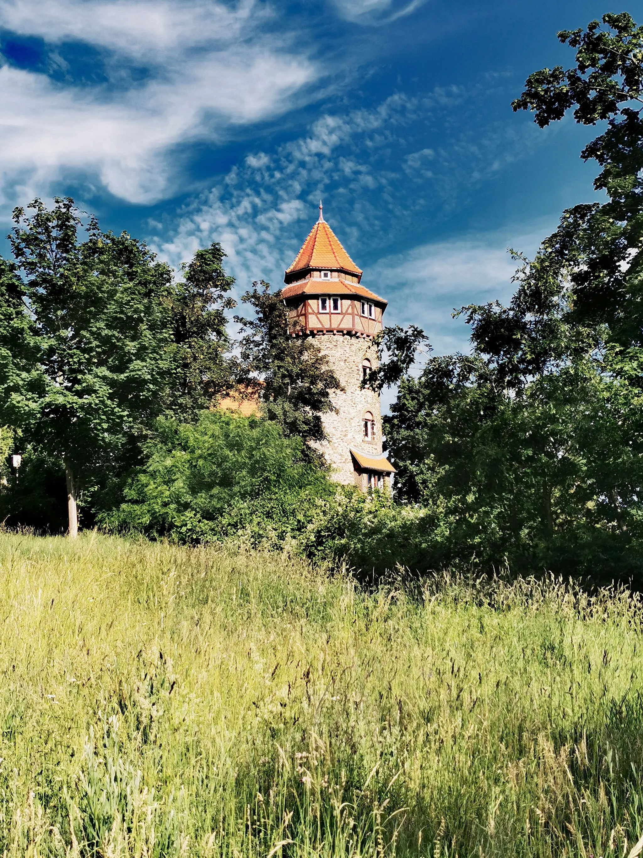 Photo showing: Die Villa Meßmer von Westen