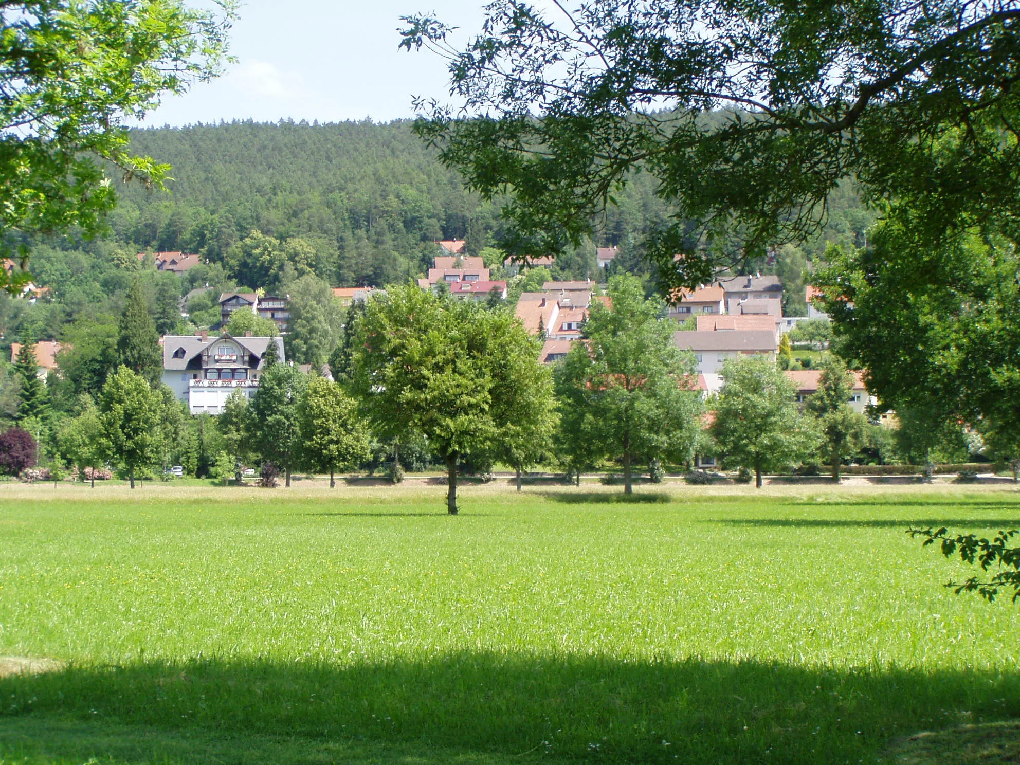 Photo showing: View to Bad Bocklet