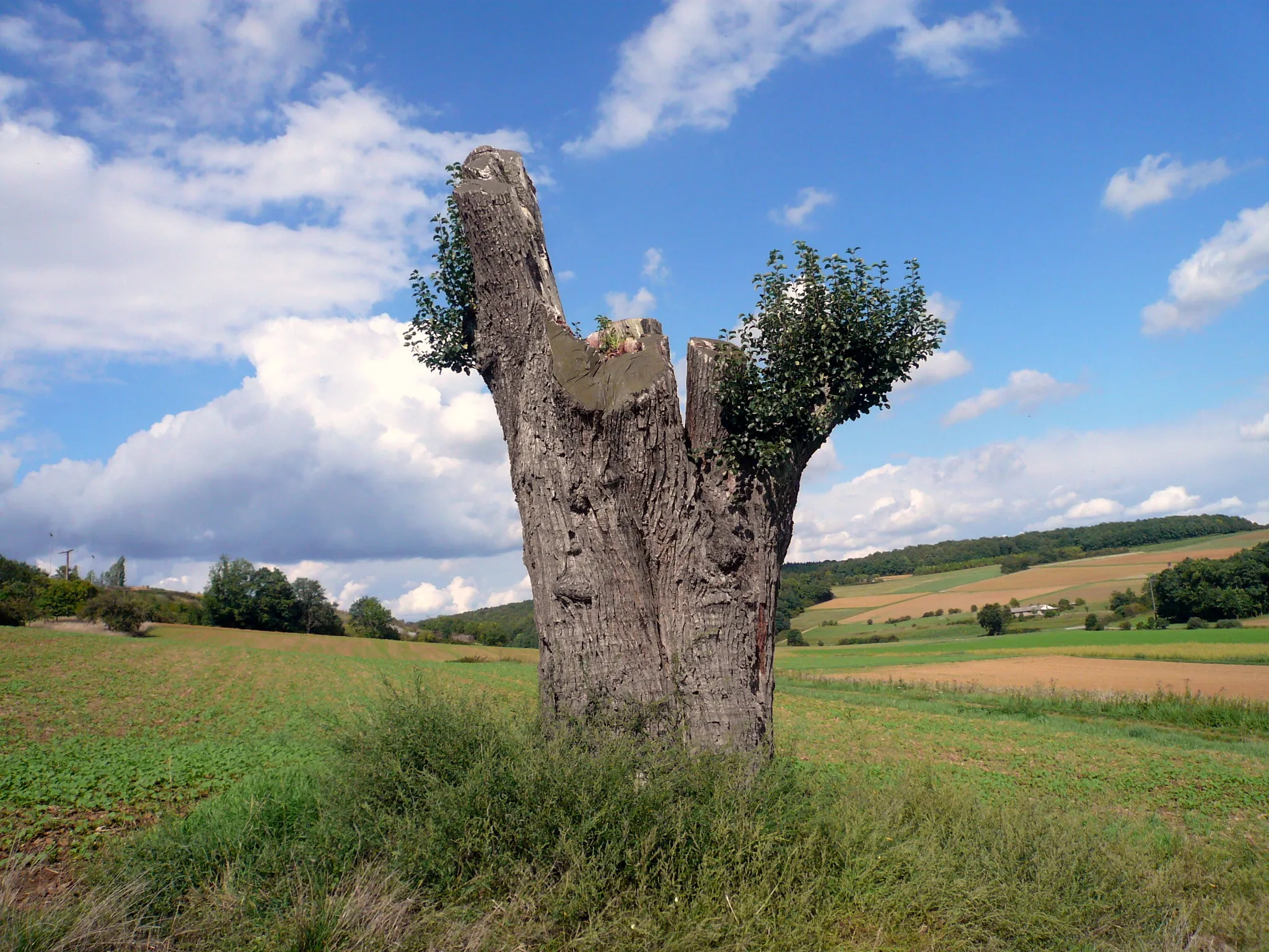 Bild von Franconia Inferiore