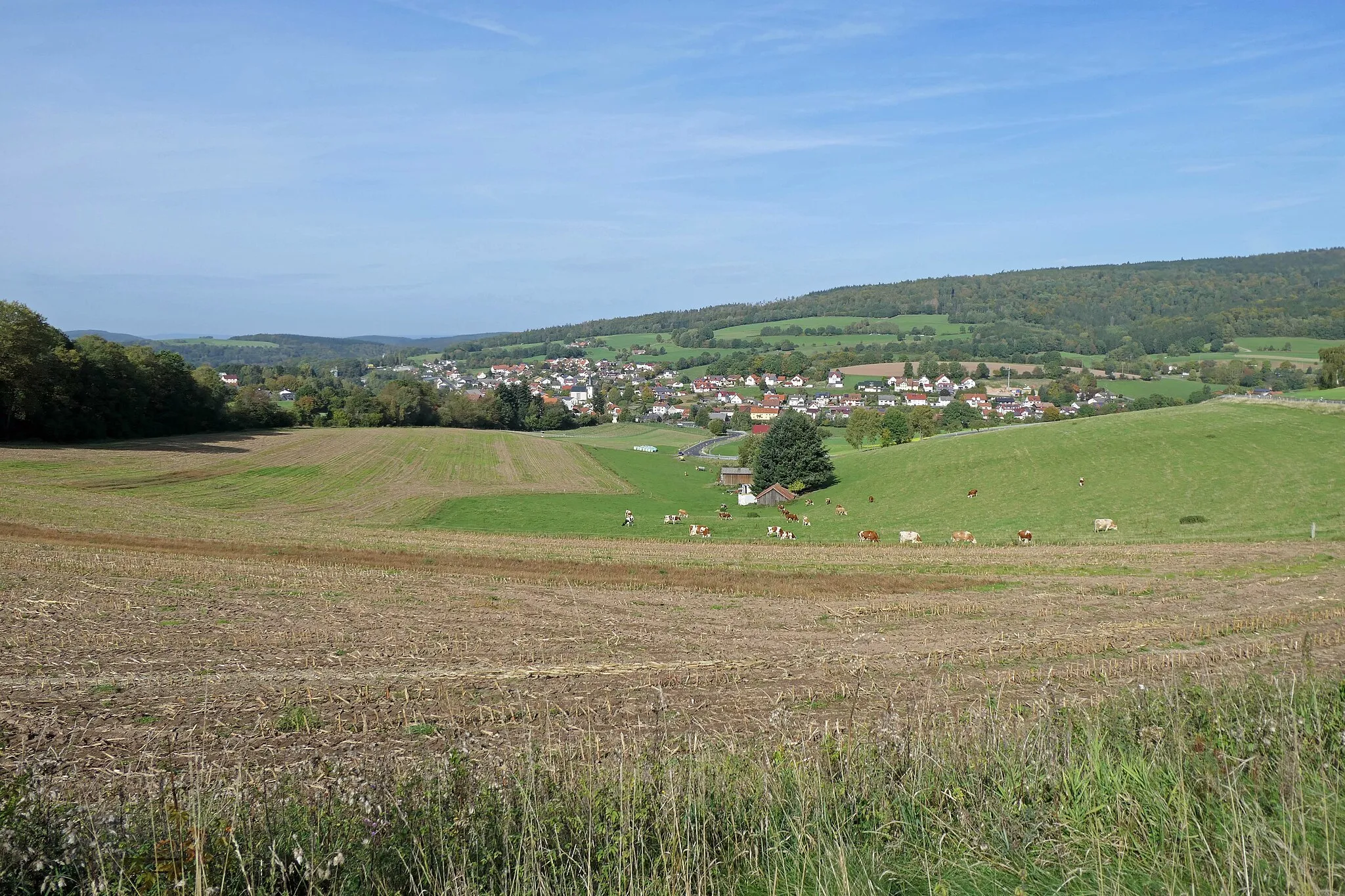 Bild von Franconia Inferiore