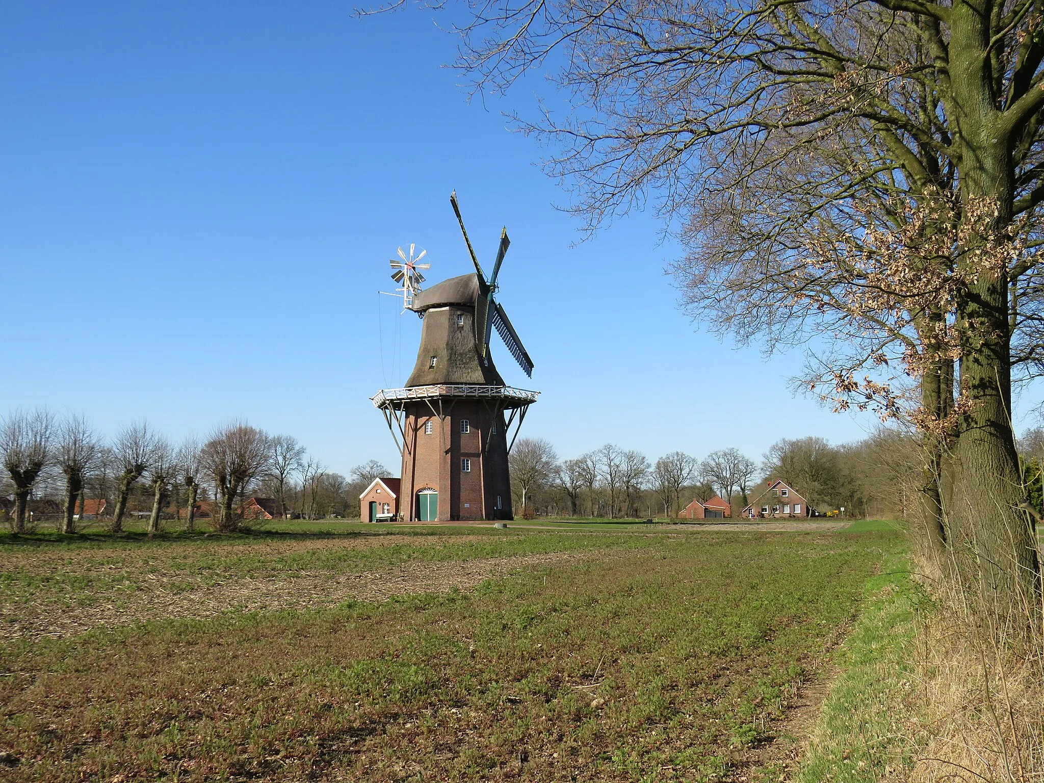 Photo showing: Galerieholländer Windmühle in Holtland, Mühlenstraße 17