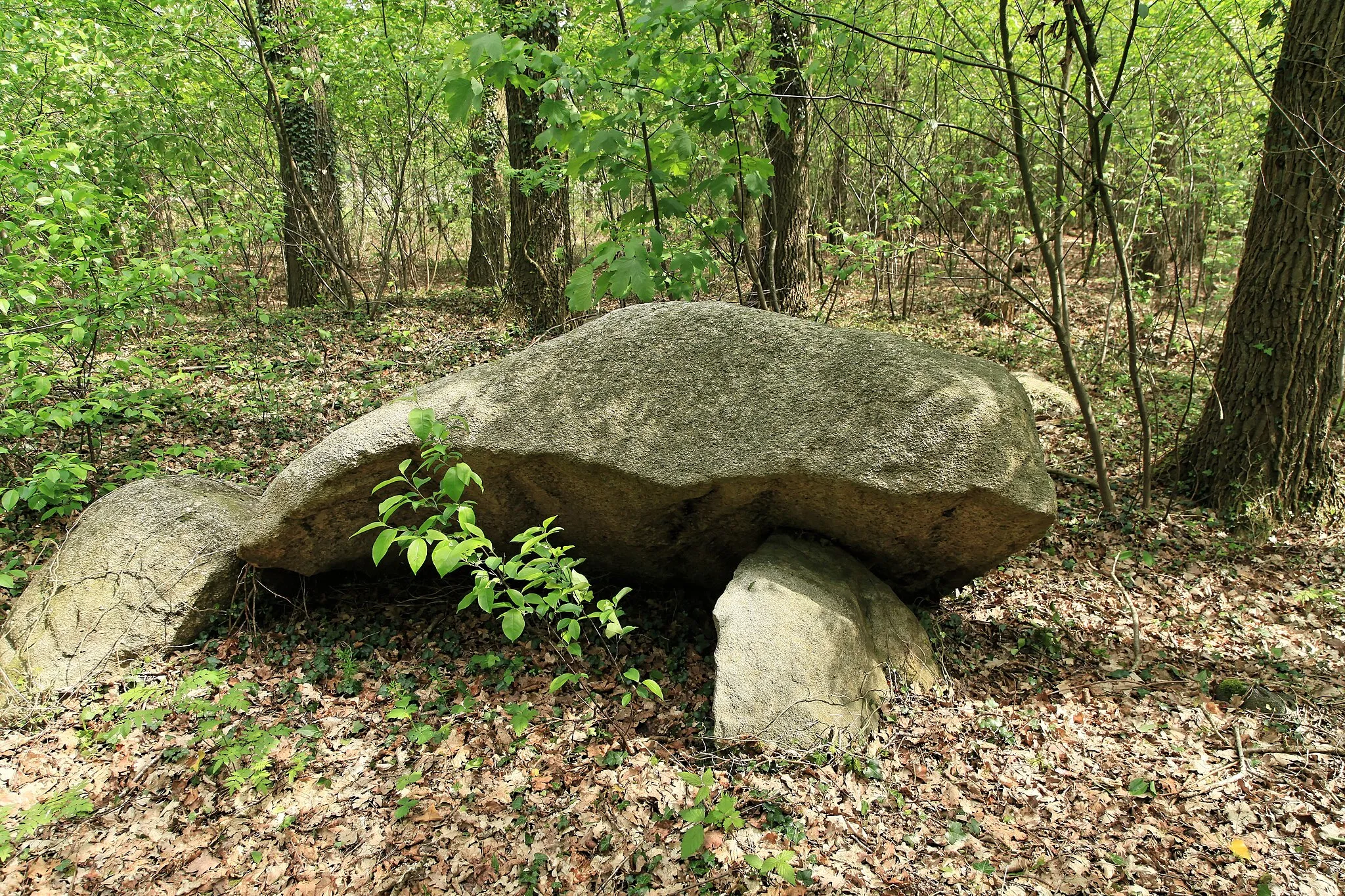 Photo showing: Großsteingrab Lähden II, Zum Herthum in Lähden