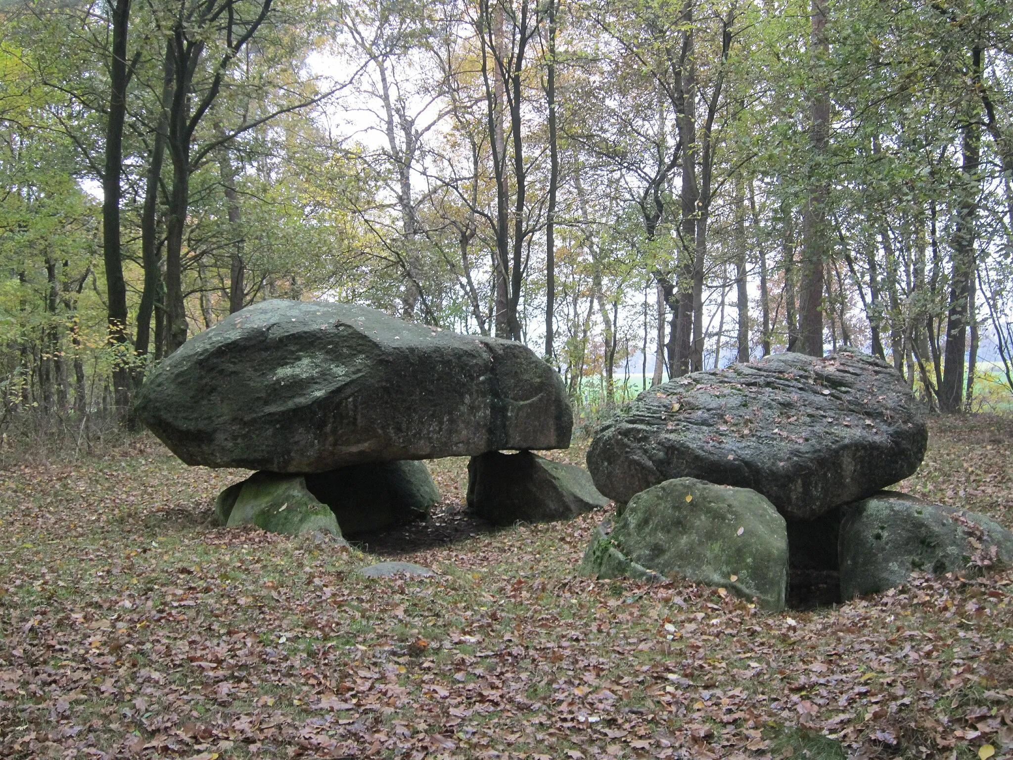 Photo showing: Grosssteingrab Apeldorn (Stadt Meppen)