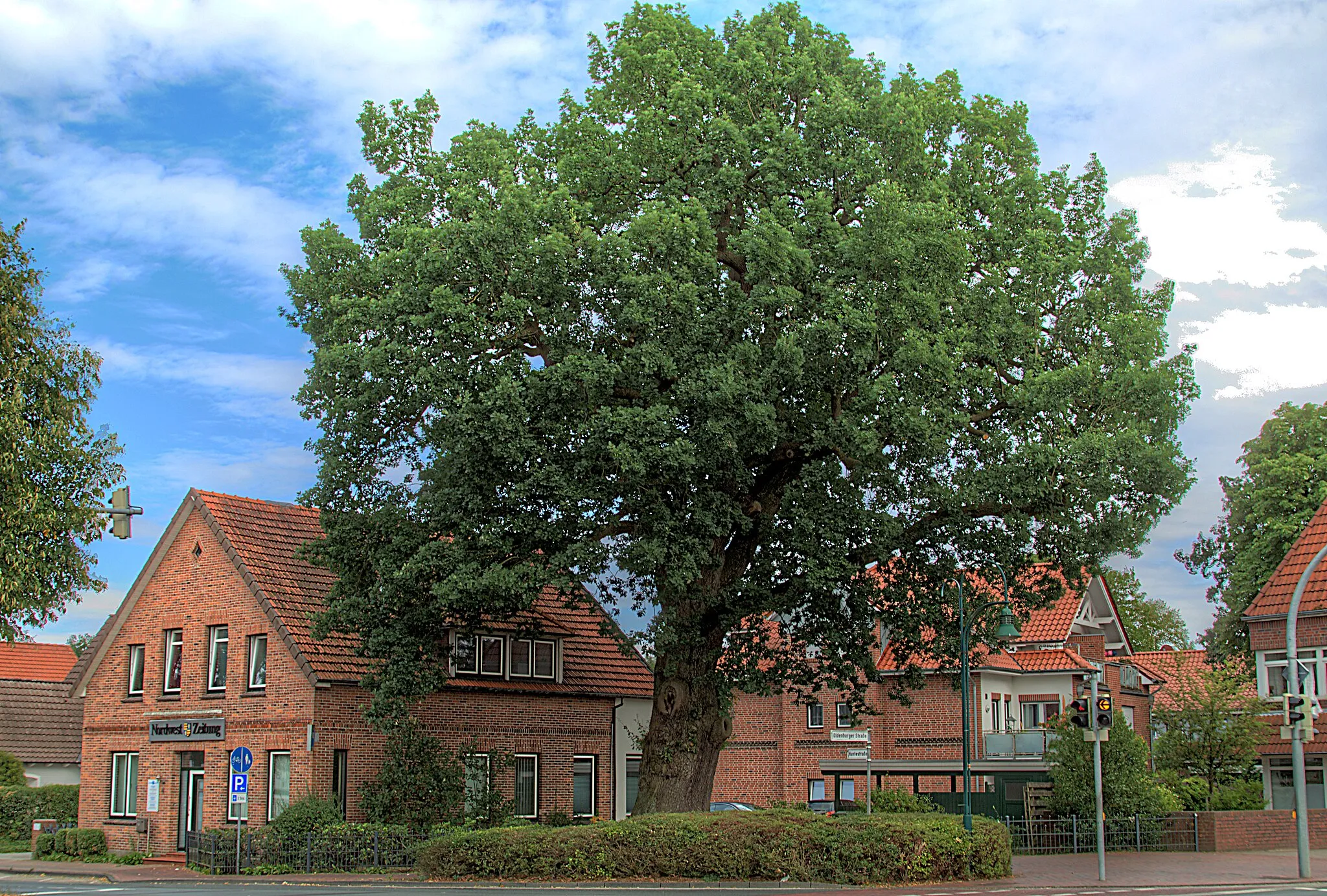 Photo showing: Popken's Oak, a ~350 year old common oak by the road crossing Oldenburger Straße × Huntestraße in downtown Wardenburg, Lower Saxony, Germany, seen in southeastern direction. On the left, the local office of the Nordwest-Zeitung newspaper is visible.