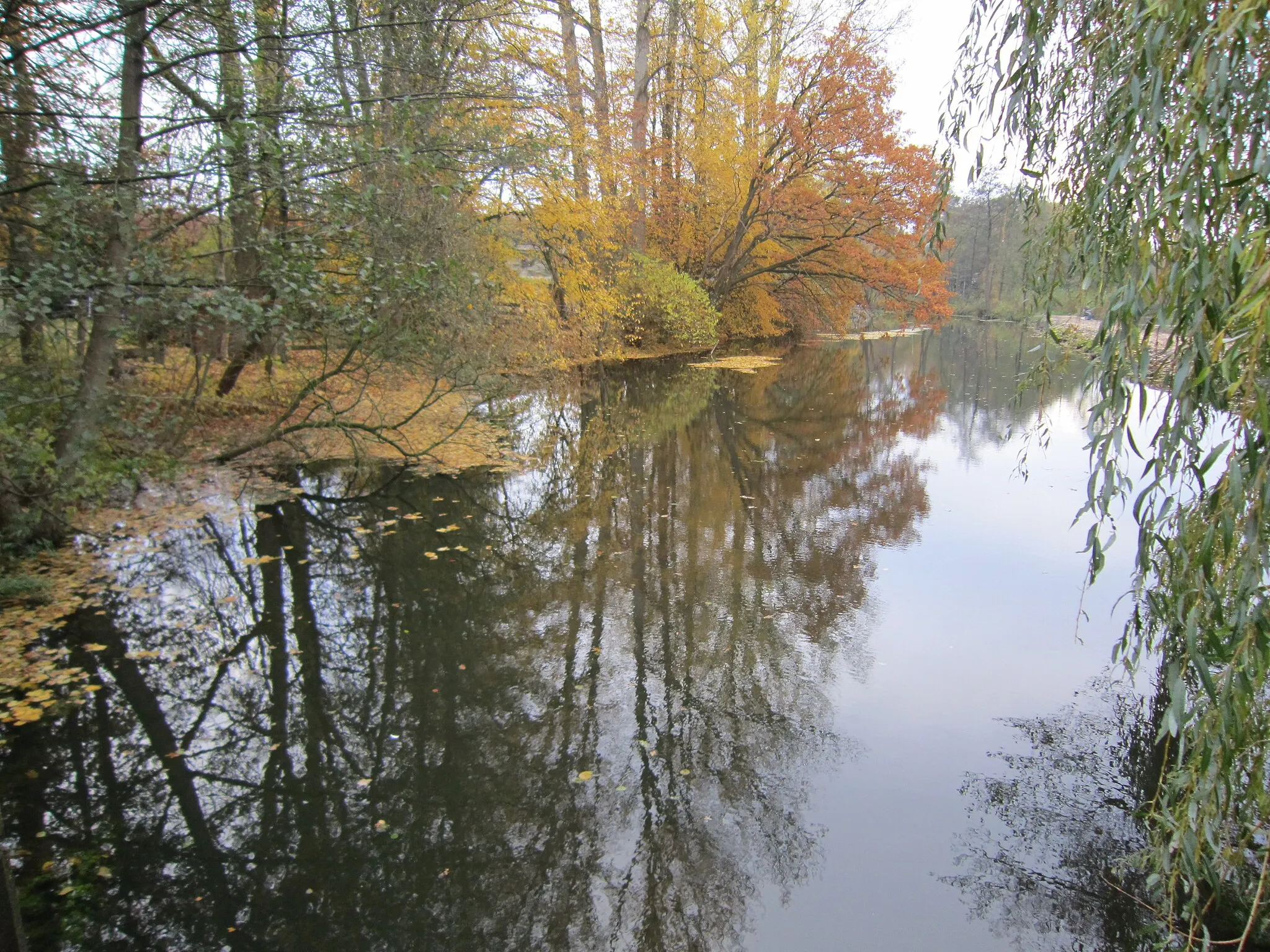 Photo showing: Mühlenteich bei Aumühle (Stadt Wildeshausen)