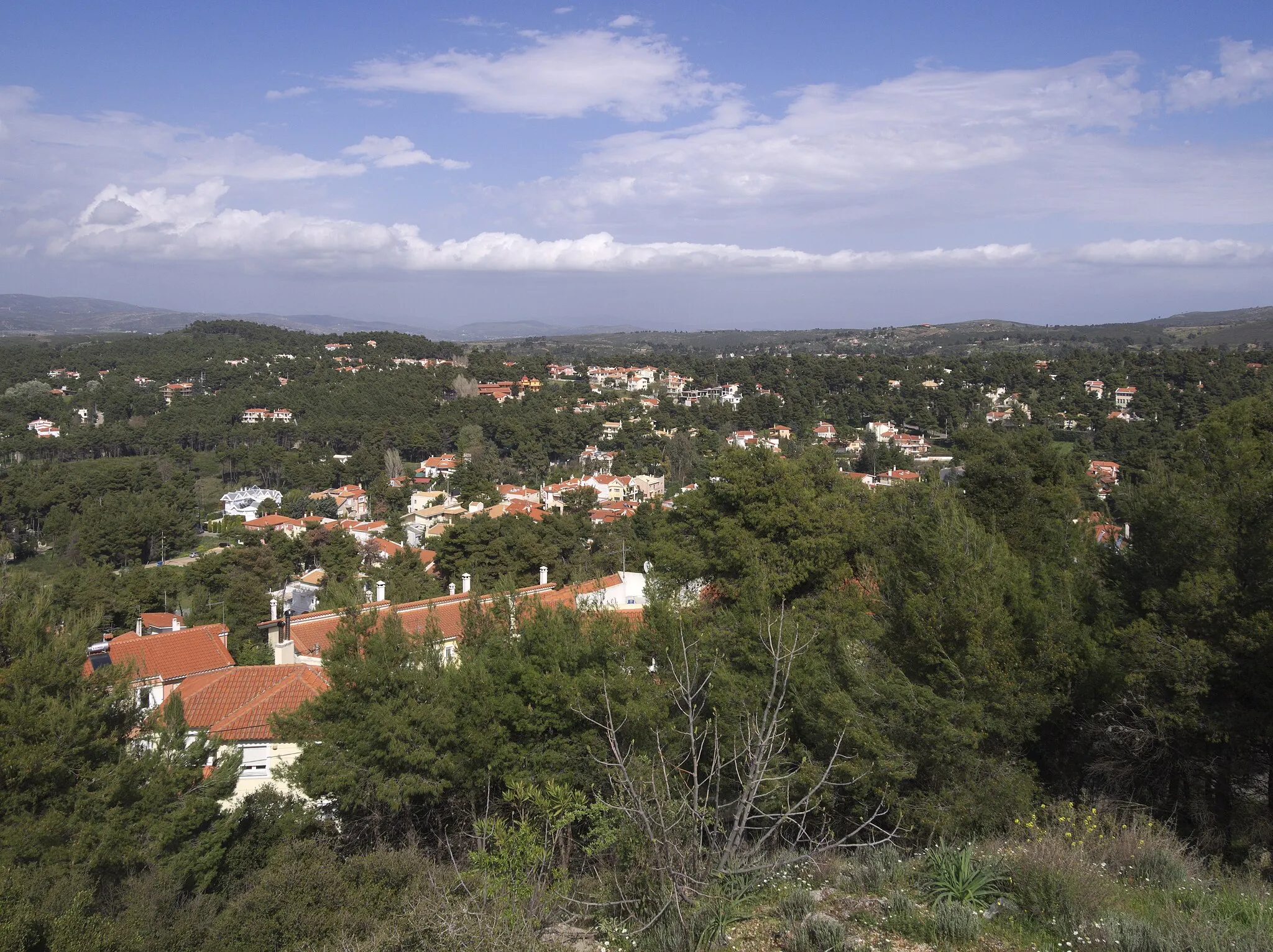 Photo showing: View of Prokonnisos neightborhood of Stamata, a northern suburb of Athens, from the watertank of Anixi, near the church of Profitis Ilias.