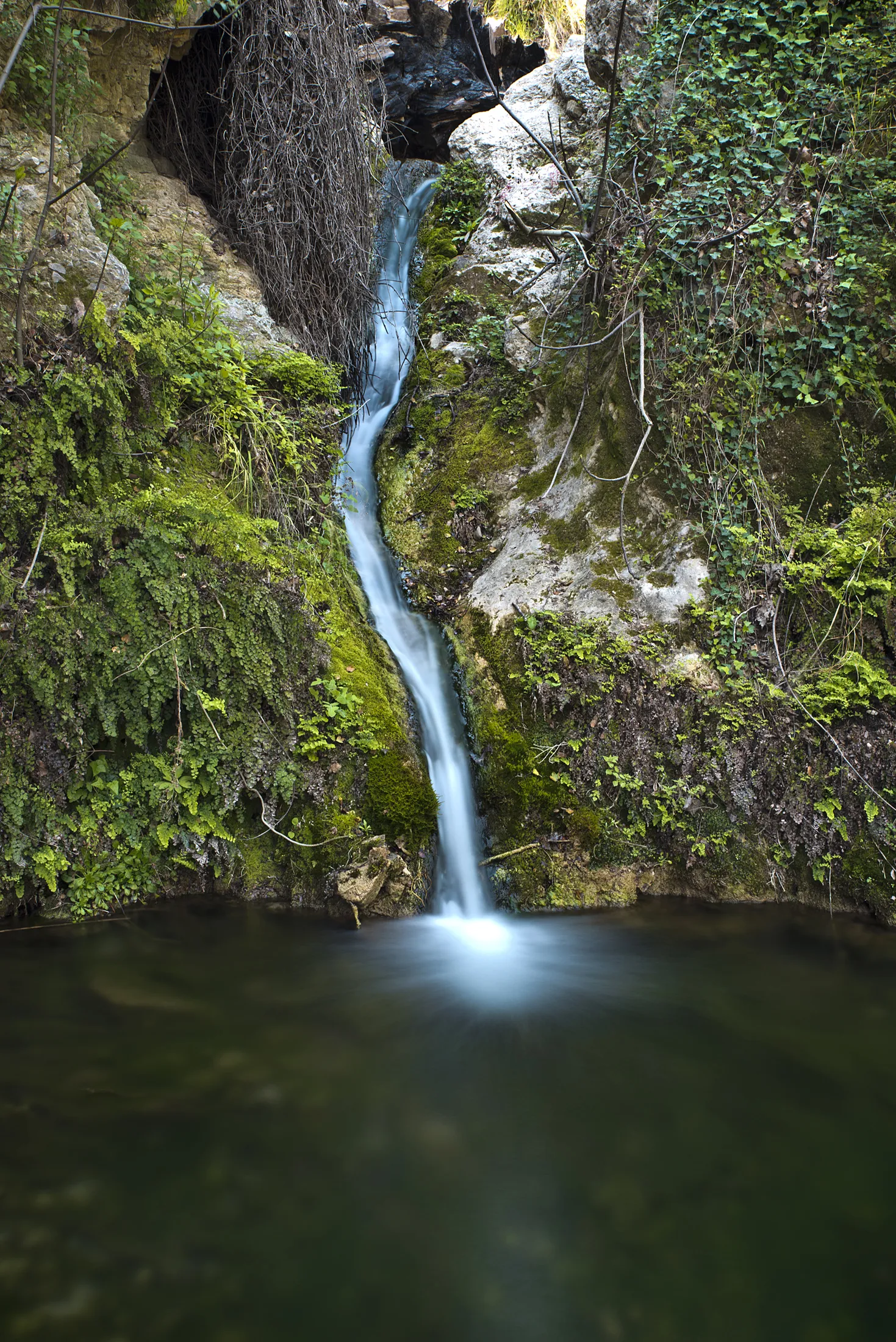 Photo showing: This is a a picture of a Natura 2000 protected area with ID