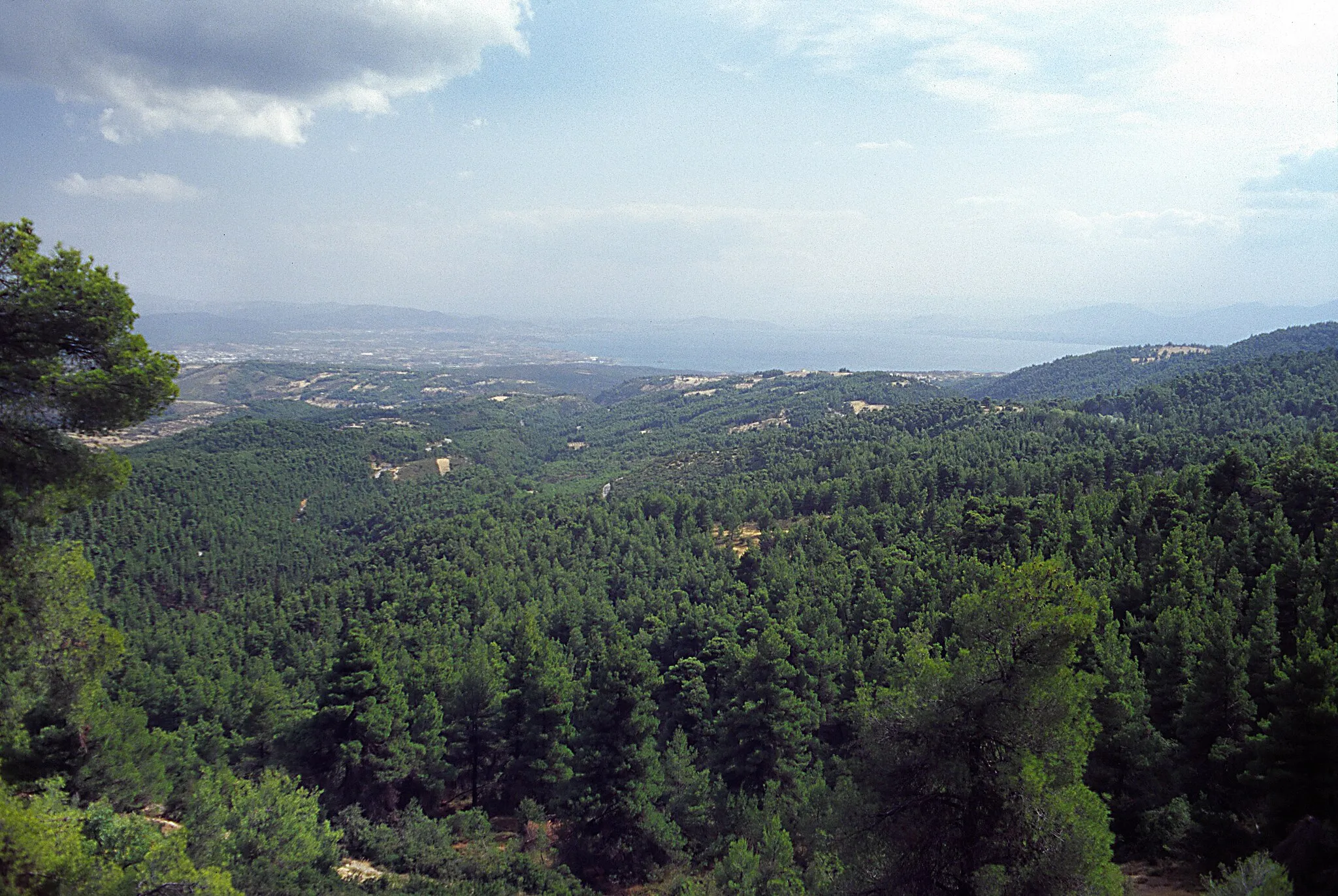 Photo showing: von der Straße E077 Chalkída–Lutra Edipsú im Nordwesten der Insel Évia Richtung Südost, in dieser Richtung wird die Insel trockener und die Vegetation spärlicher.