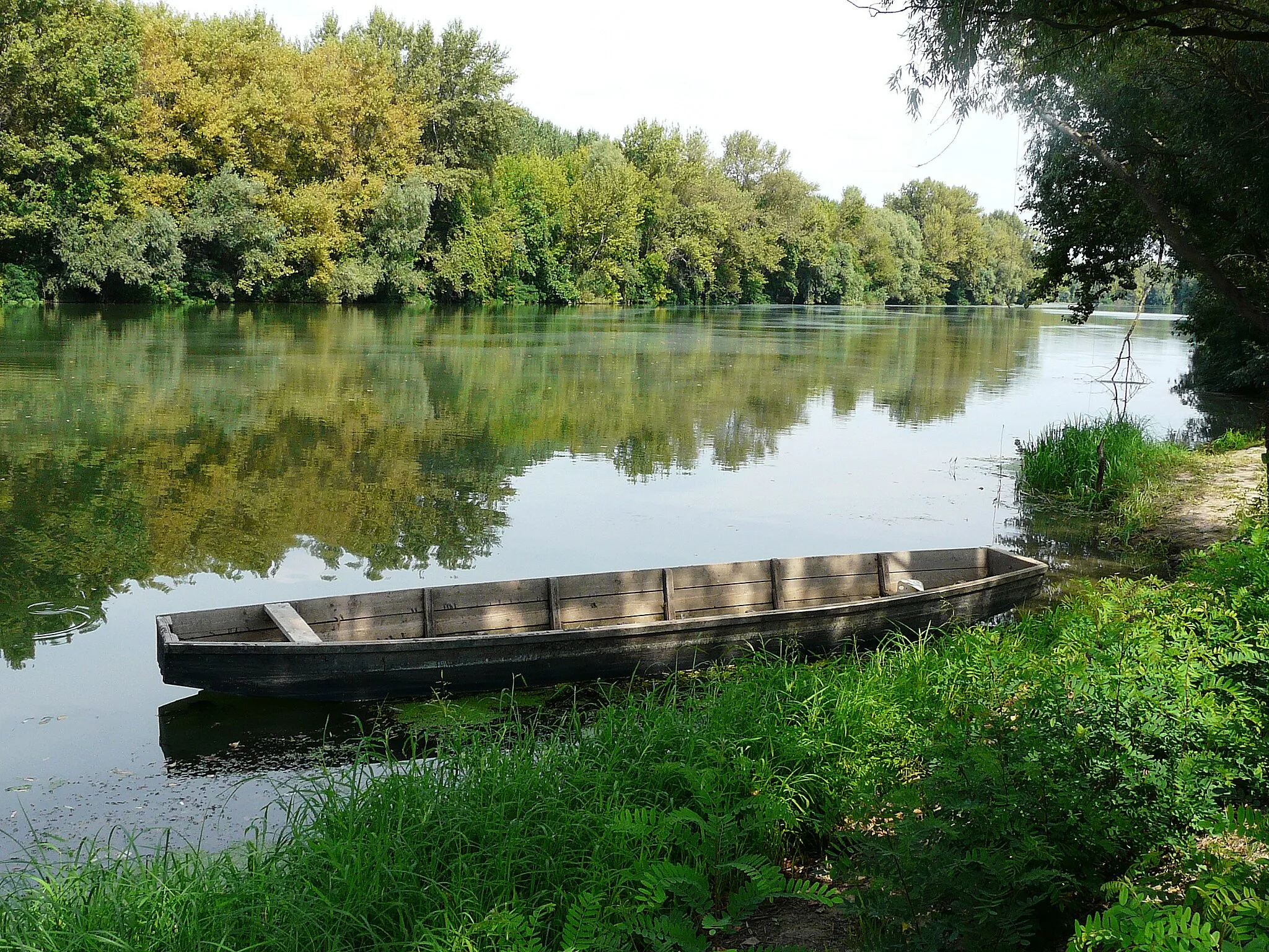 Photo showing: The Körös River near Gyoma (Hungary)