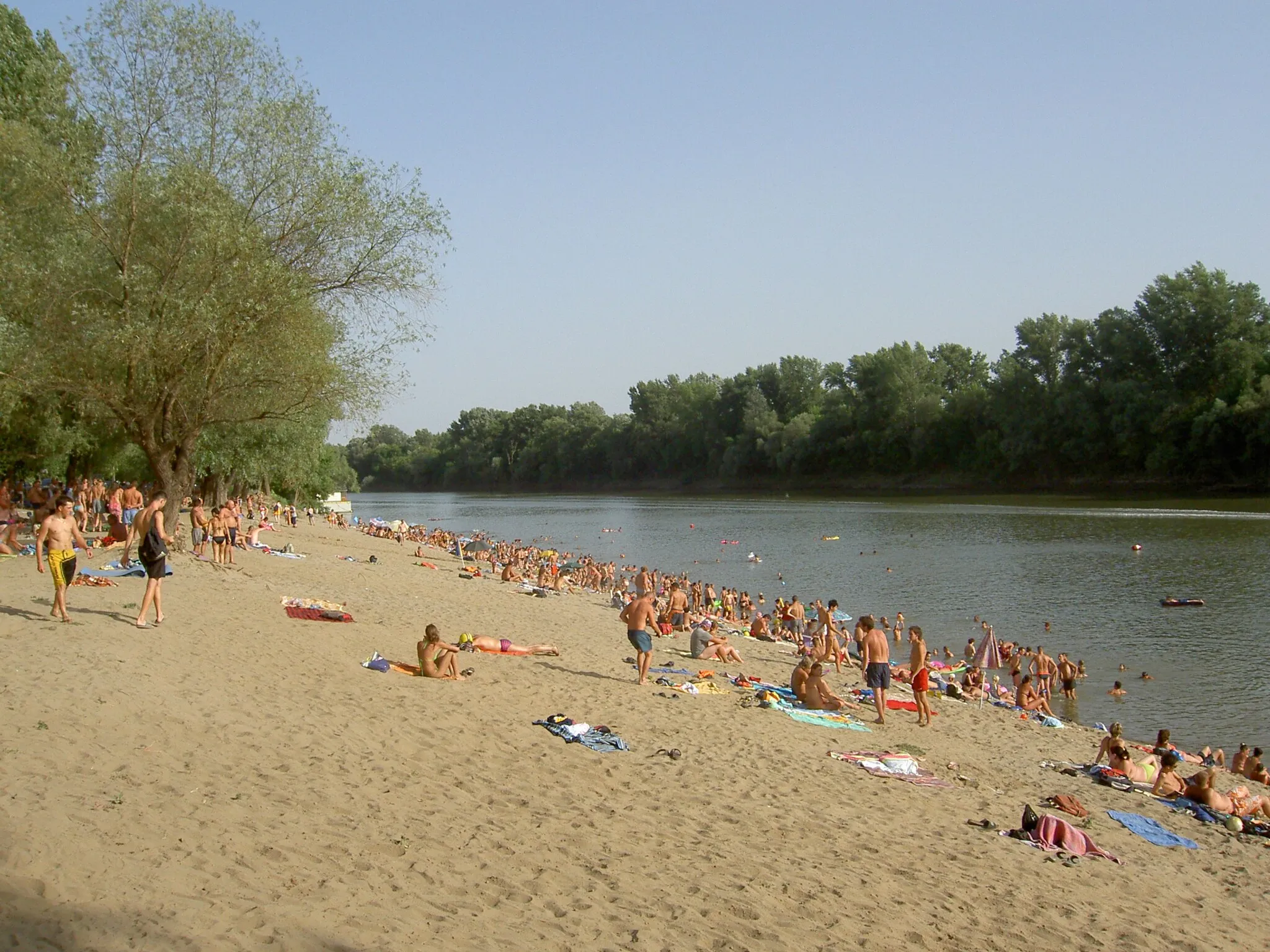 Photo showing: The beach in Mindszent