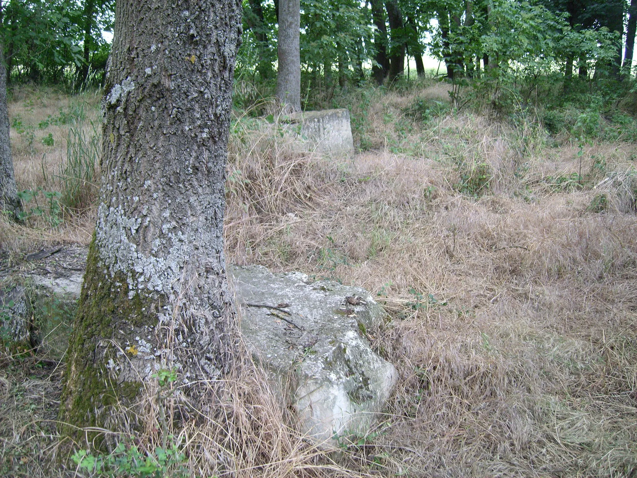 Photo showing: Cifra majori Károlyi-féle Sárkányölő Szent György-kápolna romjai