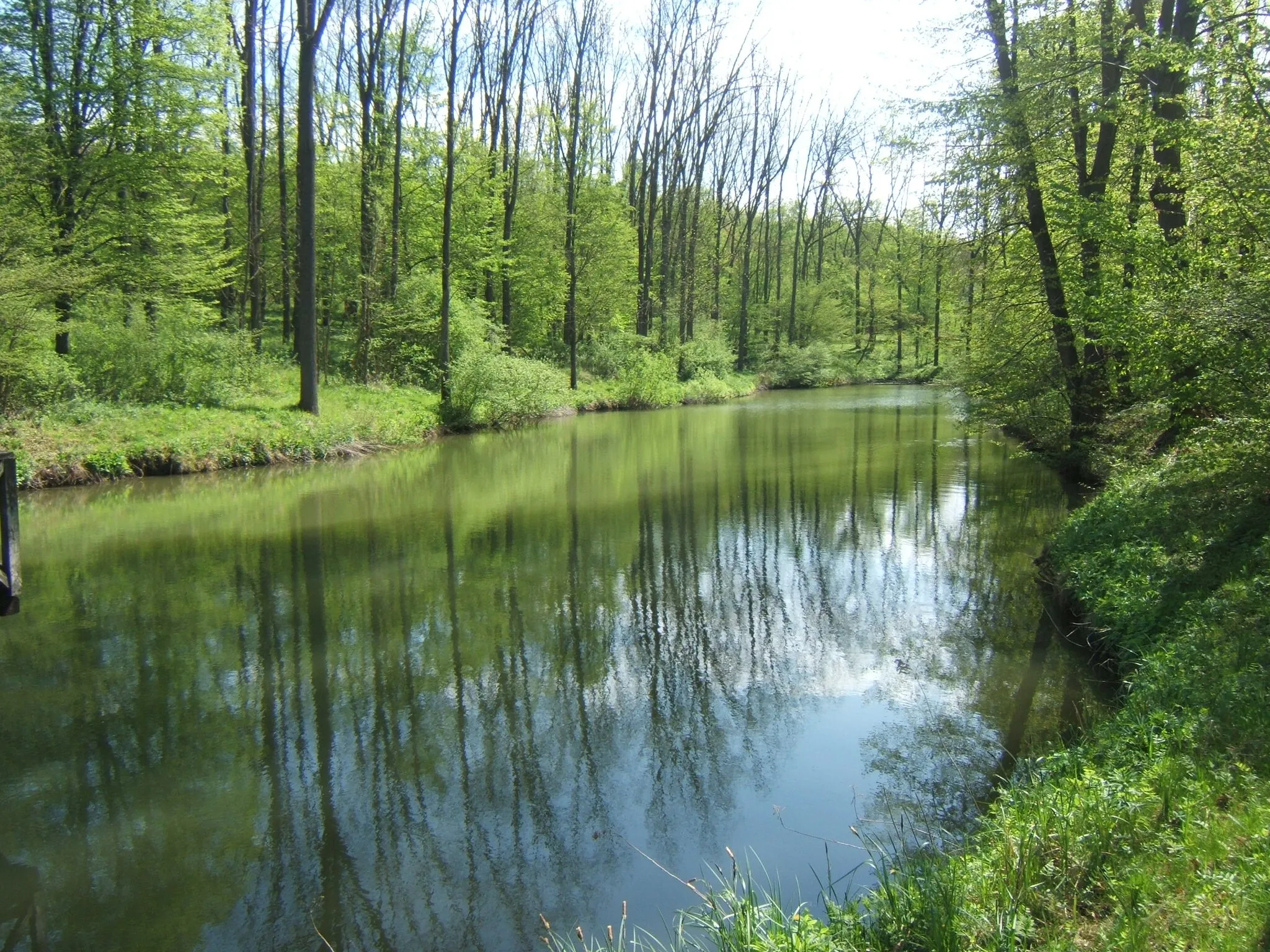 Photo showing: Hőgyész, szálláspusztai tó