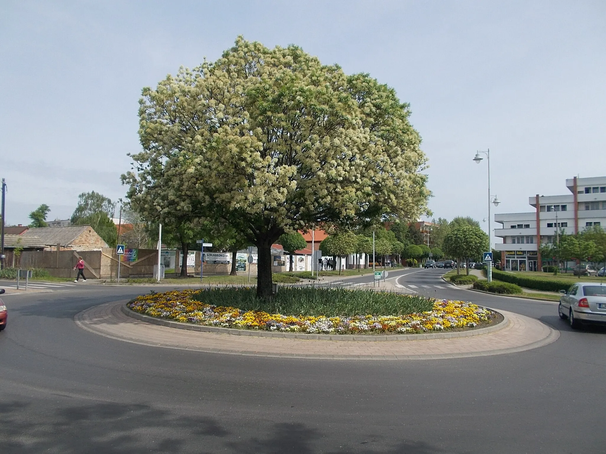 Photo showing: : Roundabout, Kápolna utca (on left) Táncsics Mihály utca (on right) -  Dózsa György út (Route 6231), Paks, Tolna County, Hungary.