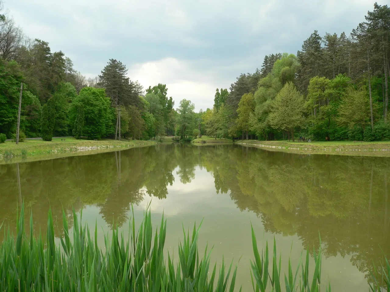 Photo showing: Lake in the forest at Tamási (south-west), near the former Majsamiklósvár village.