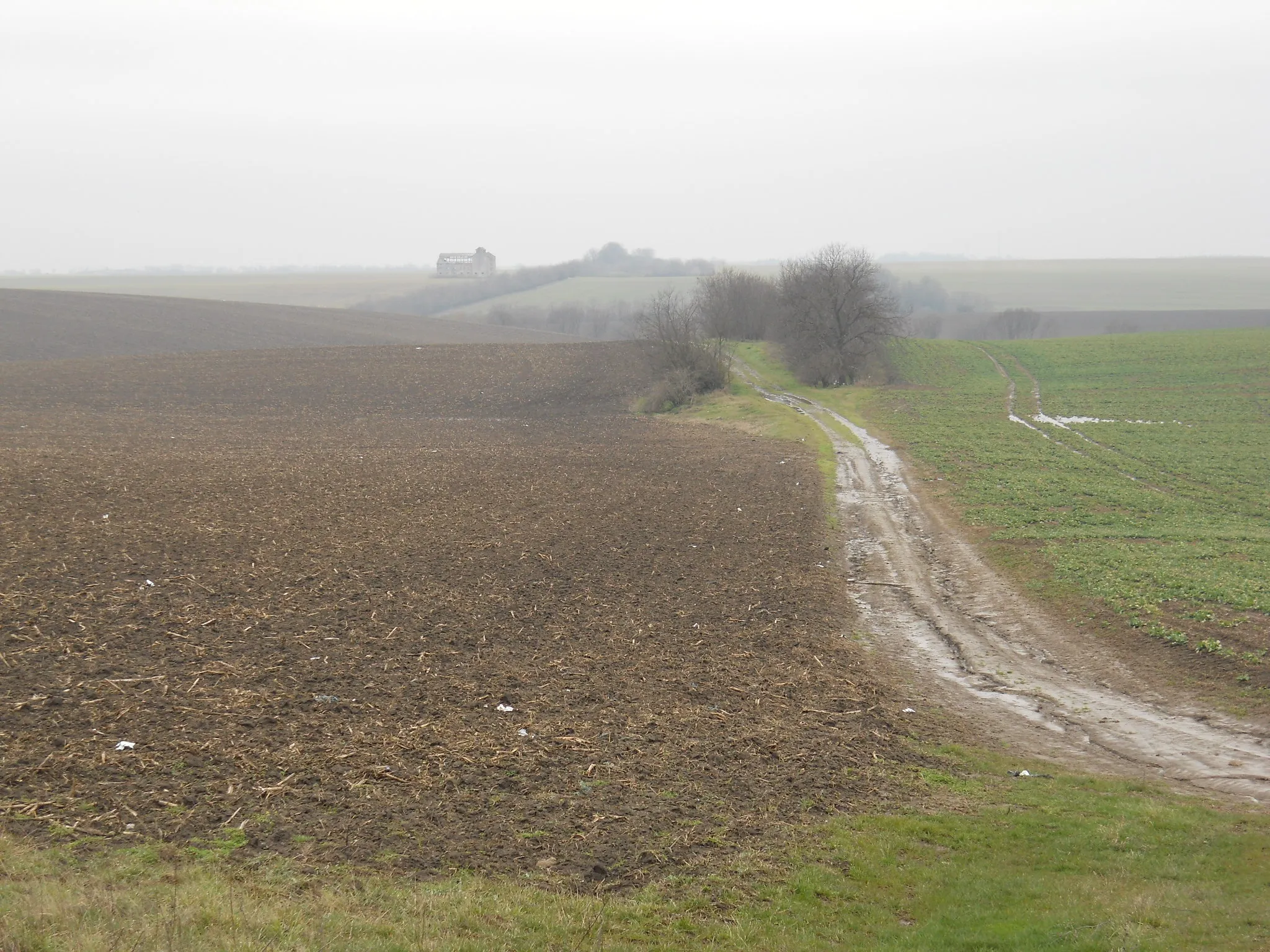 Photo showing: Zomba - kilátás a Kölesd-Szekszárd útról nyugat felé, Zomba határa