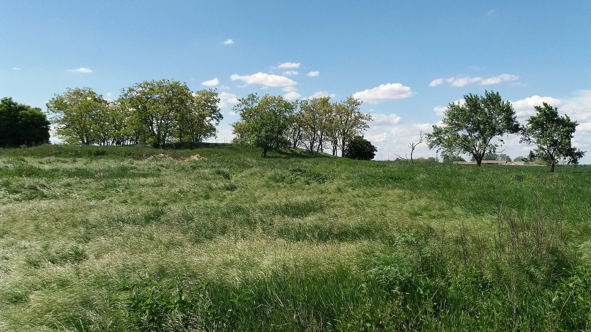 Photo showing: Telek Mound or Temple Hill