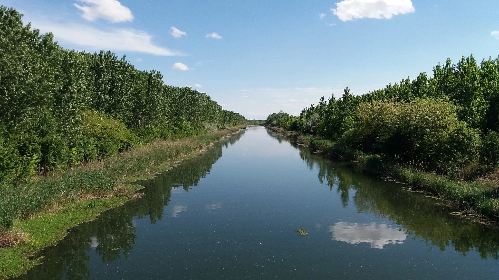 Photo showing: main channel