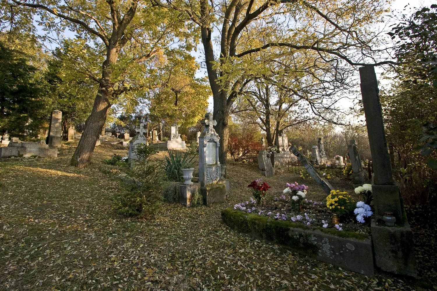 Photo showing: Old cemetery, Andornaktálya, Hungary