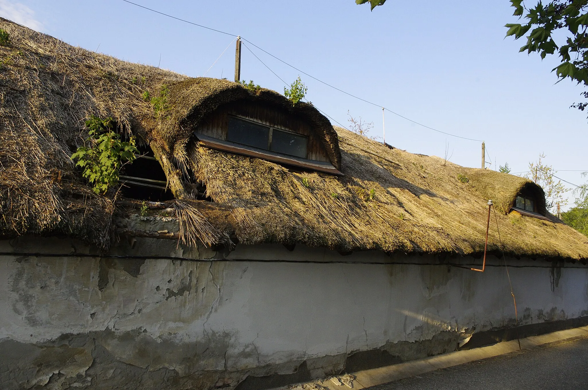 Photo showing: Agfalva, Hungary - thatched barn
