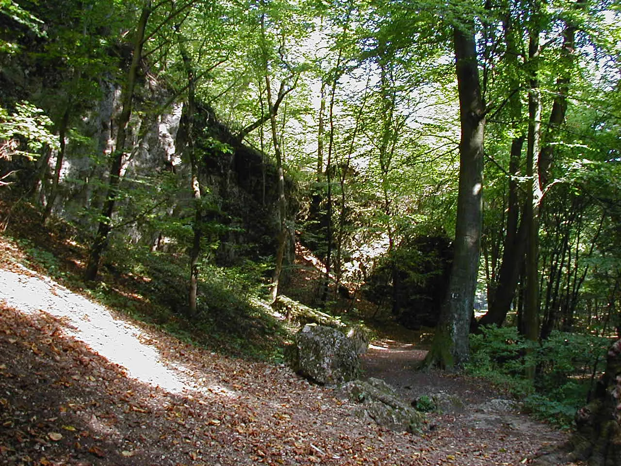 Photo showing: Bakonyszentlászló, Cuha-völgy