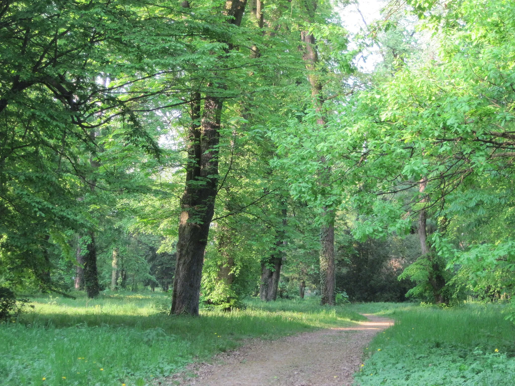 Photo showing: Vép, Hungary