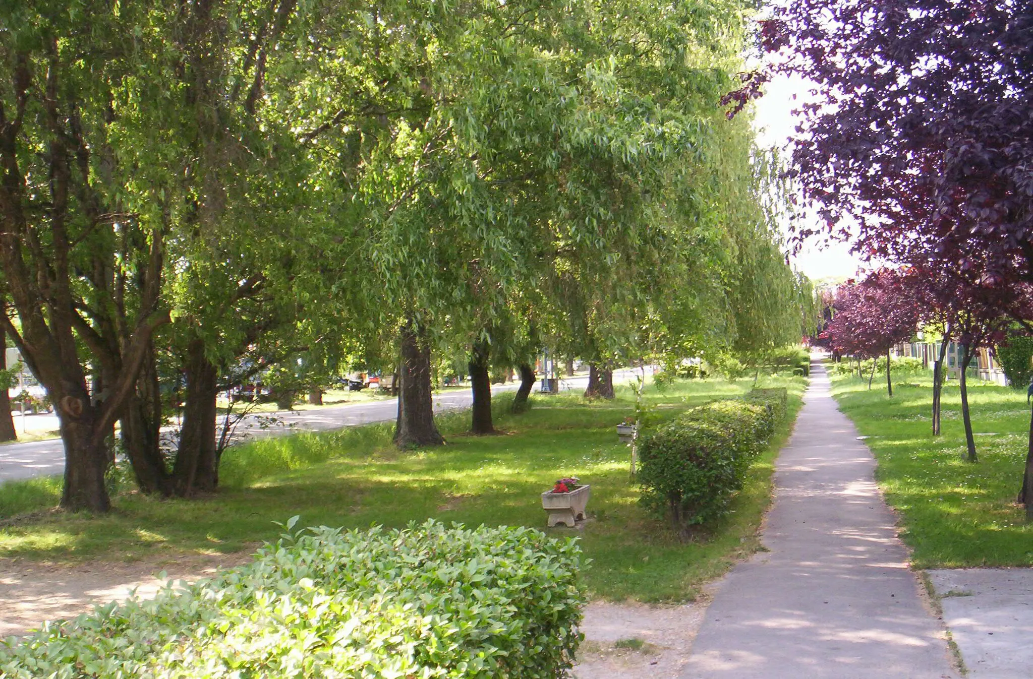 Photo showing: The main street of Ecser, on the pathway.