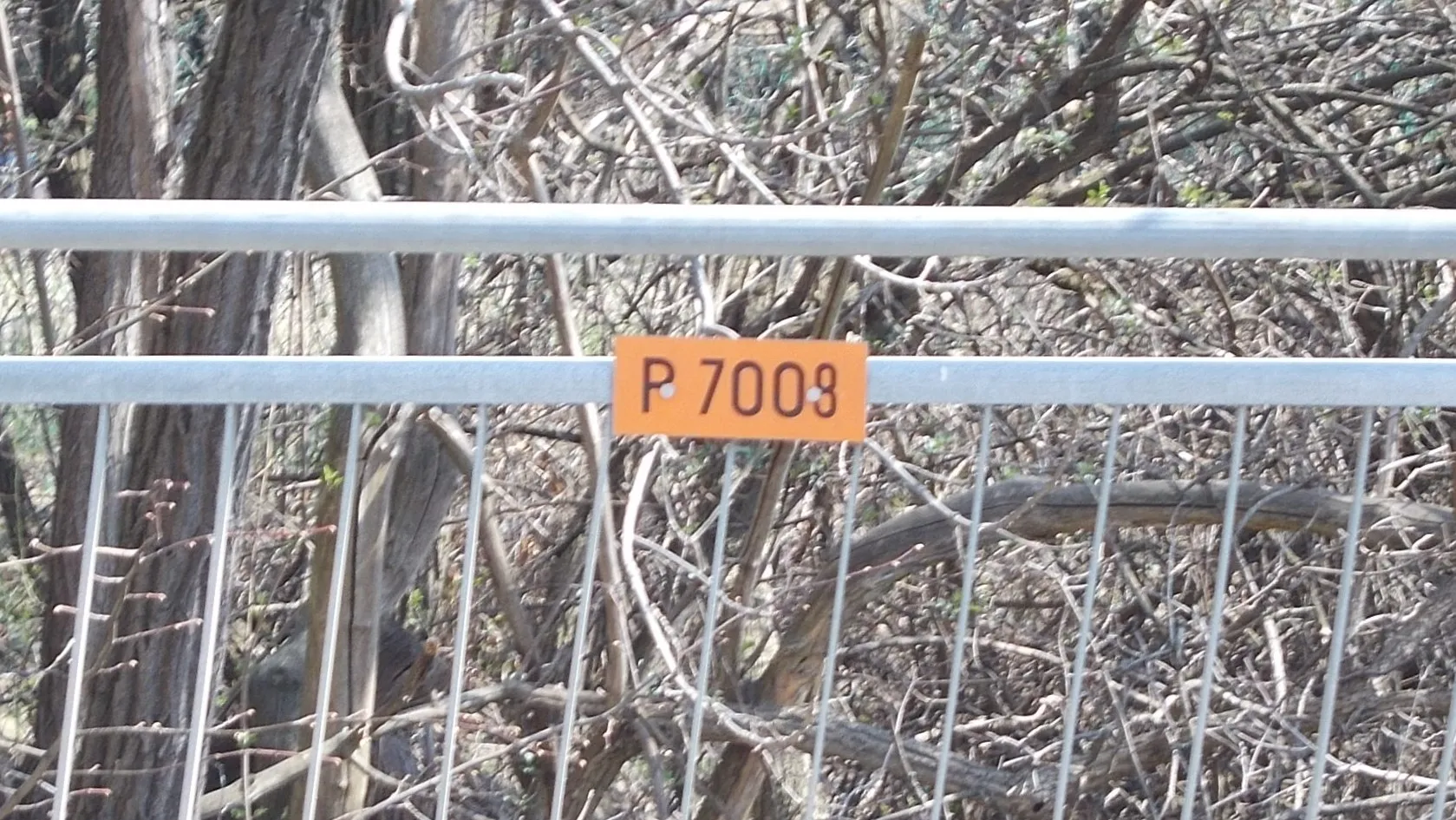 Photo showing: 'P 7008' bridge over Kanyargós Stream in Fő Road /part of varied walking and mountain biking trails/ or Szabadság Square (Route 11108), Pilisszentkereszt, Pest County, Hungary.