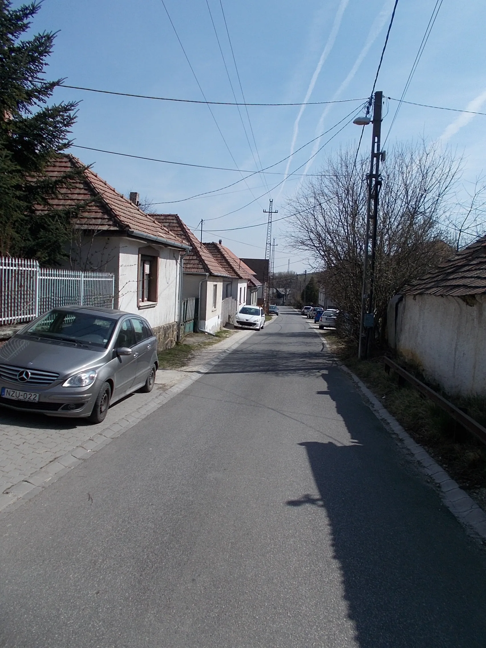 Photo showing: From north end of Petőfi Sándor (Šelpice) Street (full lenght of this street is part of the National Blue Trail section 15, and the blue mountain bike trail), Pilisszentkereszt, Pest County, Hungary.