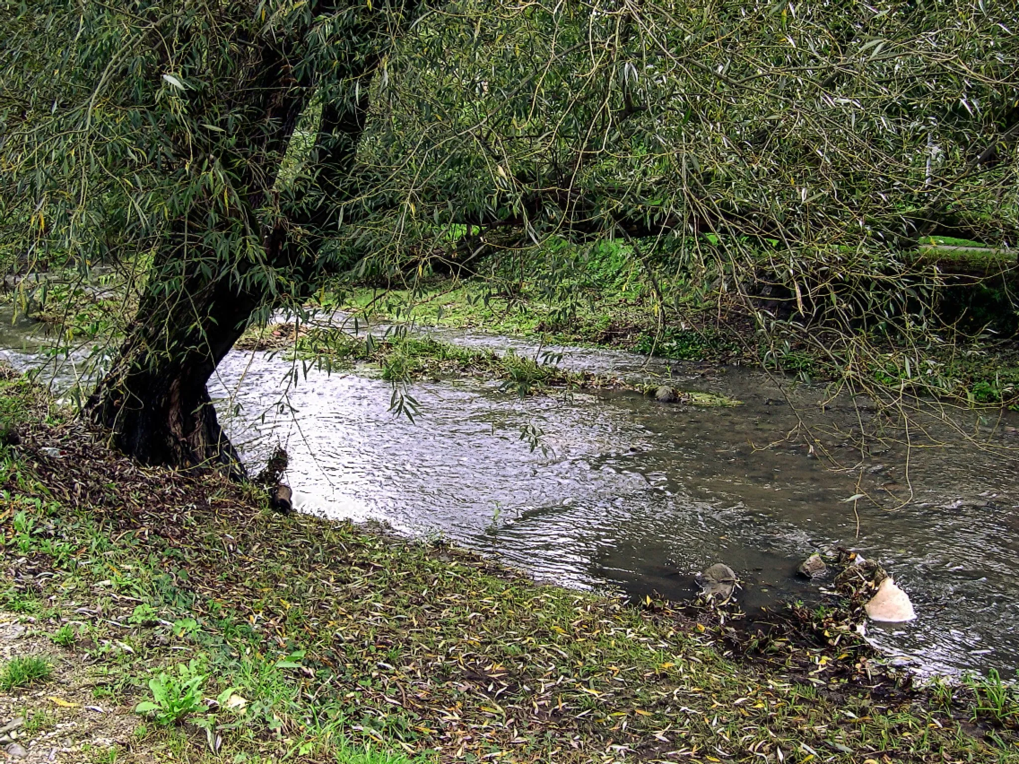 Photo showing: Bükkös patak, Szentendre