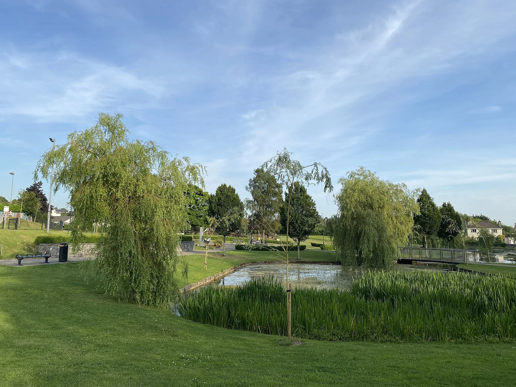 Photo showing: Mullingar Town Park, 2021-07-21