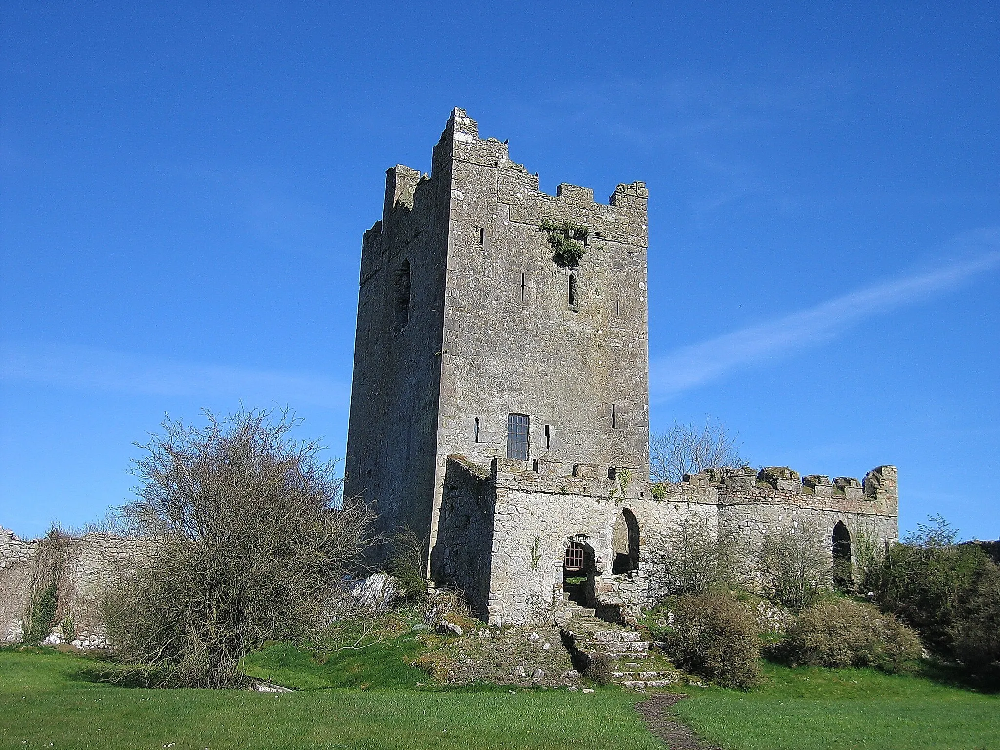 Photo showing: Clonony Castle, Clonony, County Offaly