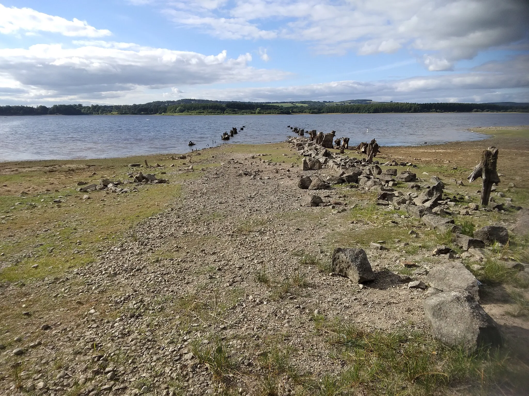 Photo showing: Remains of a road (from Baltyboys Upper to Russellstown) leading into the Poulaphouca Reservoir (aka Blessington Lake)