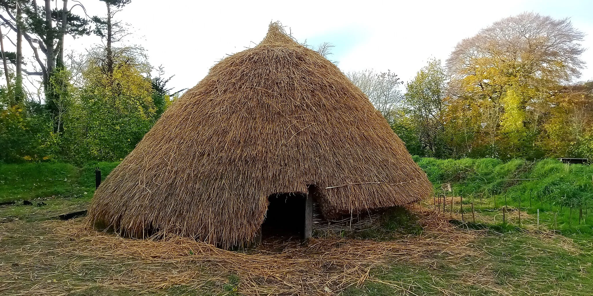 Photo showing: Round hut at UCD's Experimental Archaeology site, constructed in 2022 after the old one had burnt down. The thatchers were Jimmy & Dan Lenehan.
