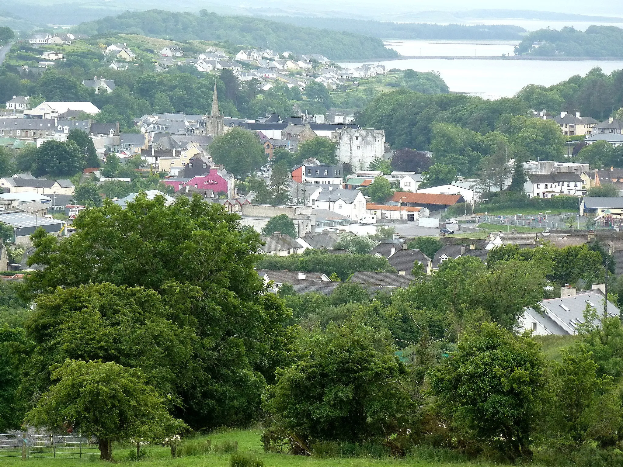 Photo showing: Donegal Town seen from Drumroosk East