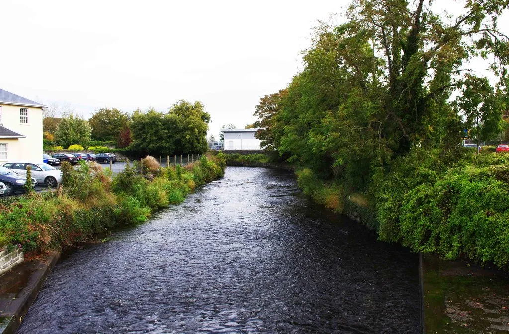 Photo showing: Gort River looking northeast, Gort