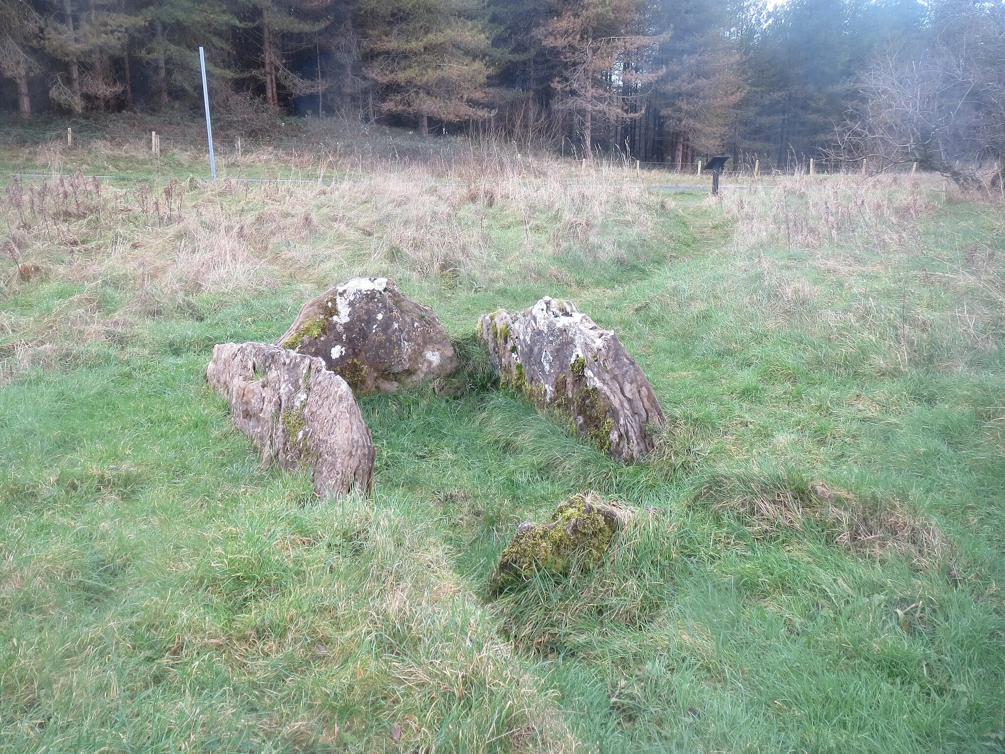 Photo showing: Court Tomb Killaspugbrone, looking west