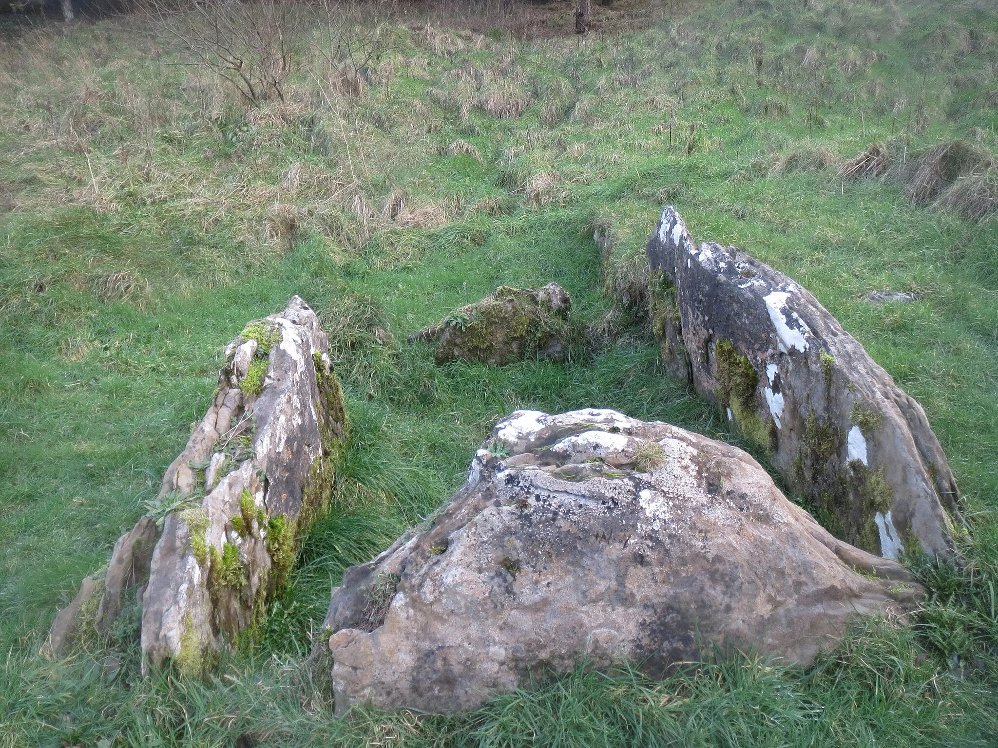 Photo showing: Court Tomb Killaspugbrone, looking east