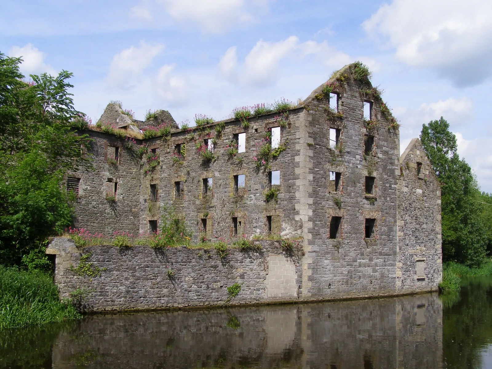 Photo showing: Dunleckny, Co. Carlow, Ireland