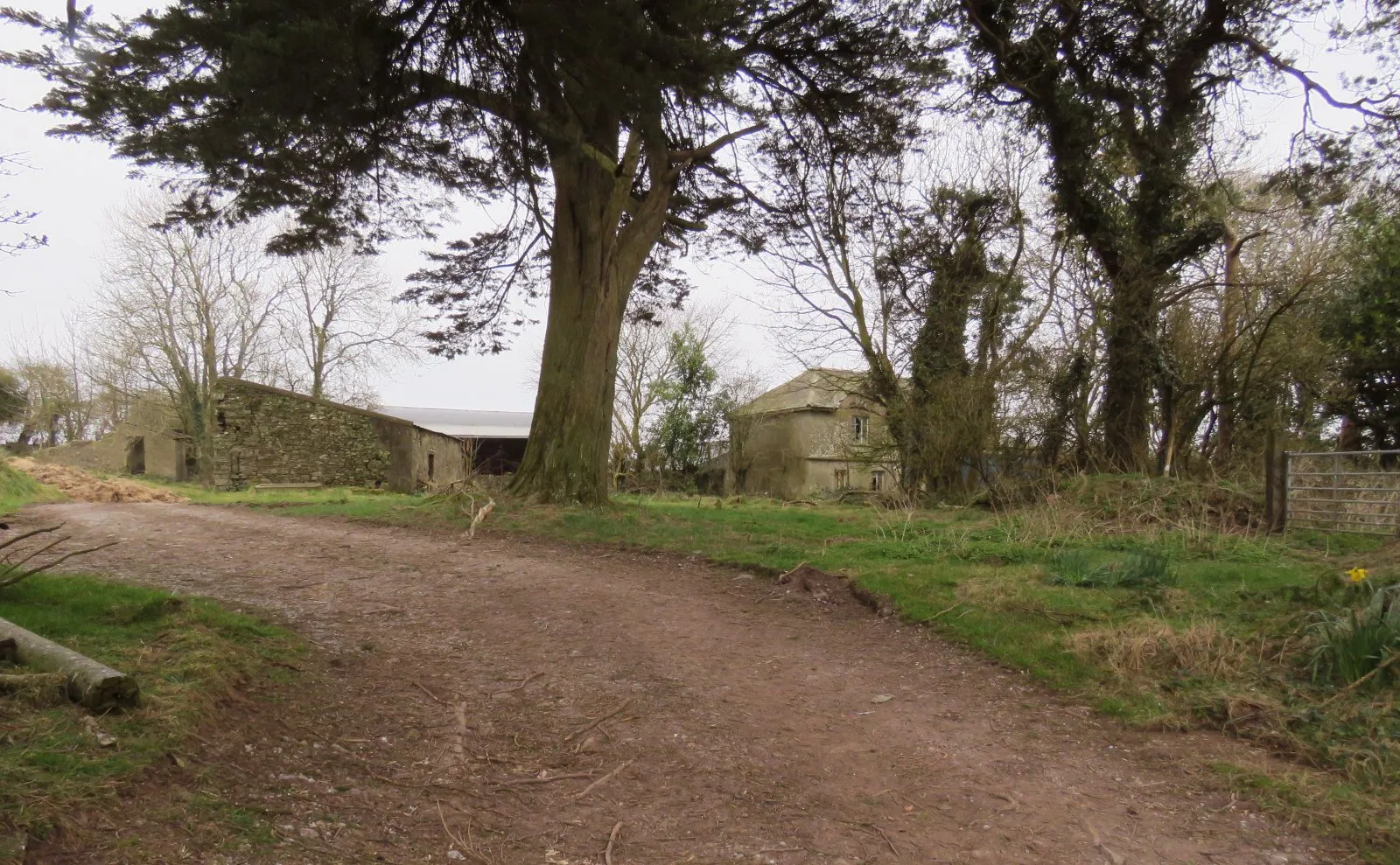 Photo showing: Derelict farm house in Fourmile Bridge