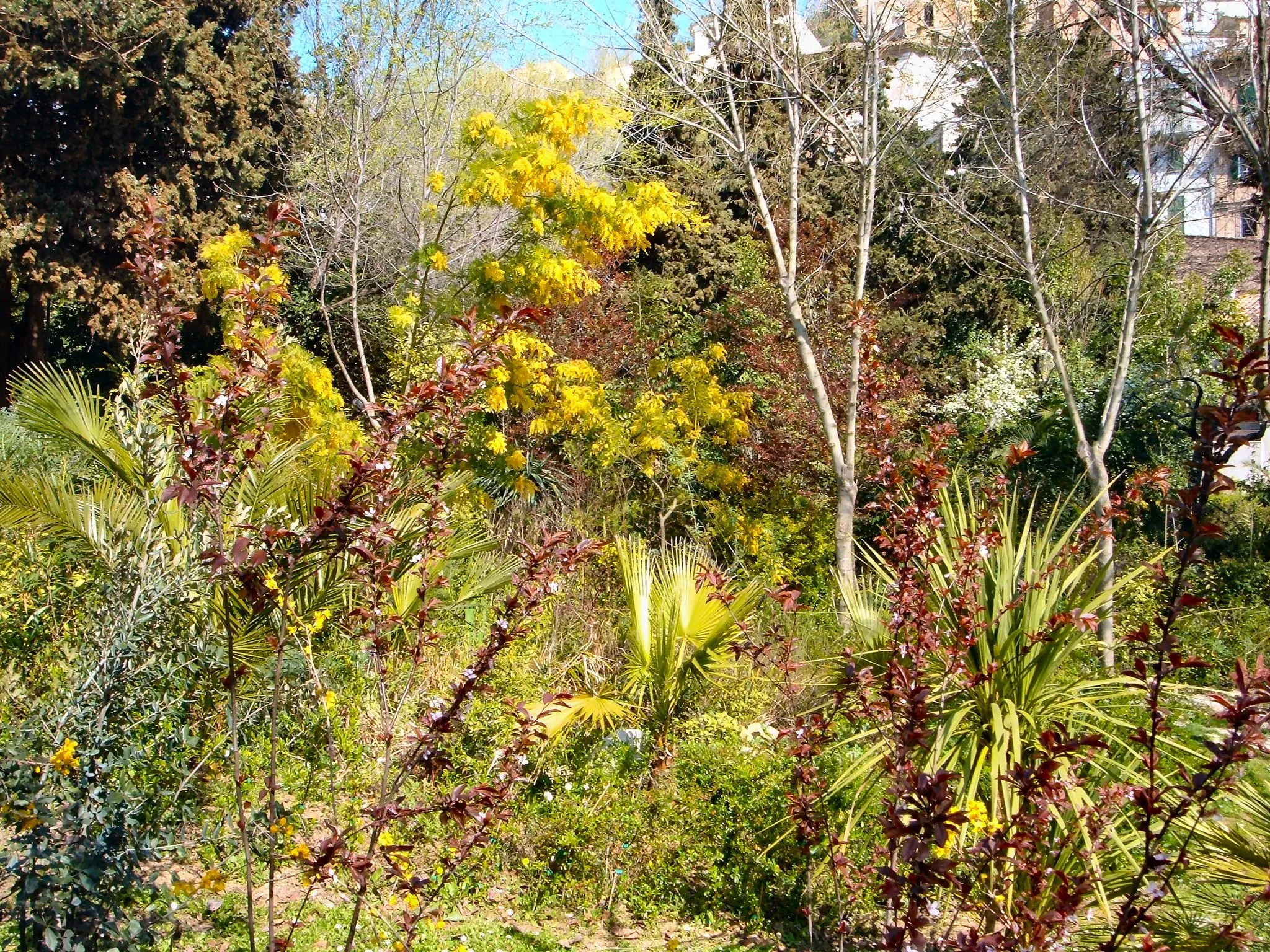 Image of Abruzzo