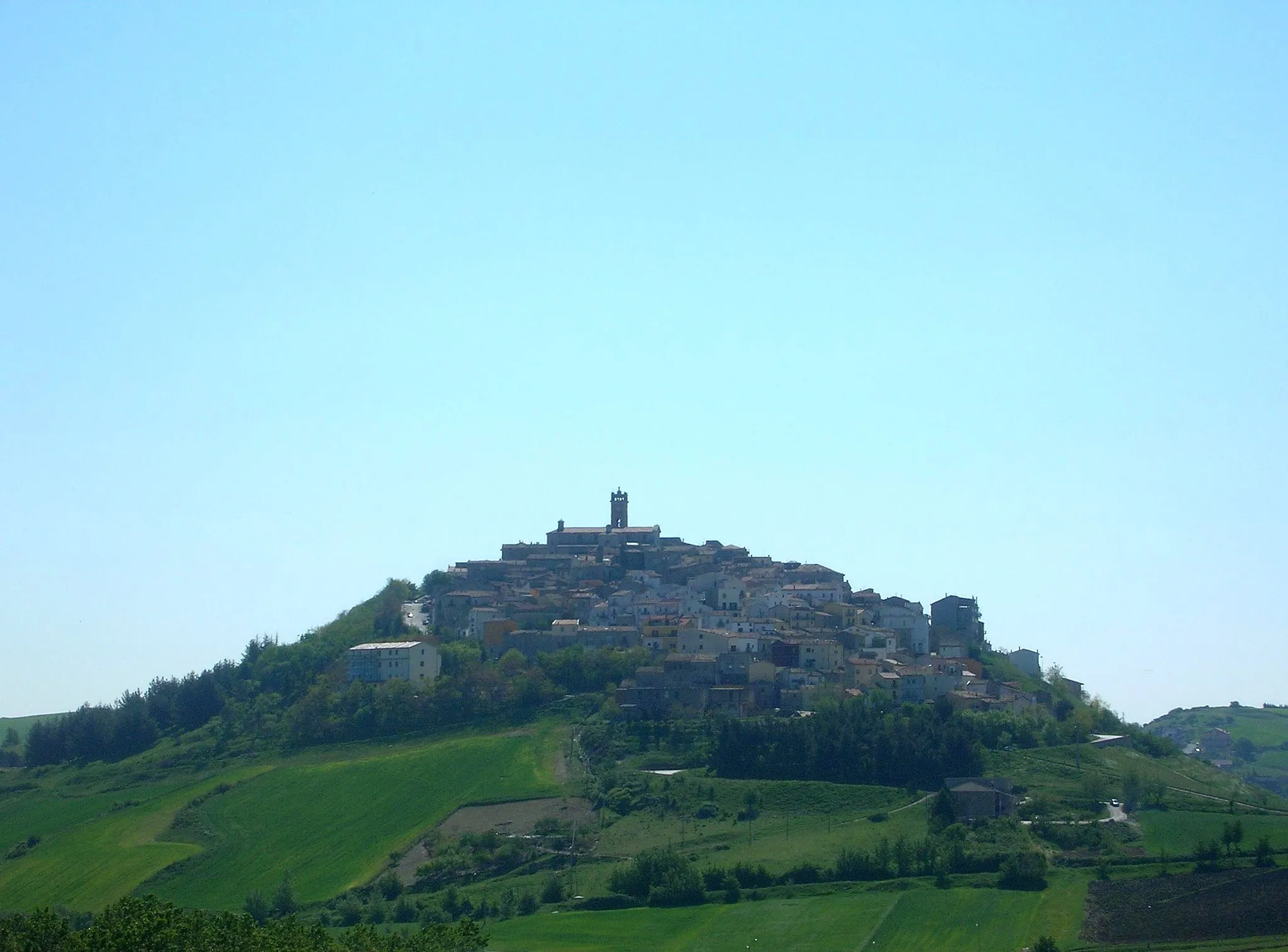 Image of Forenza
