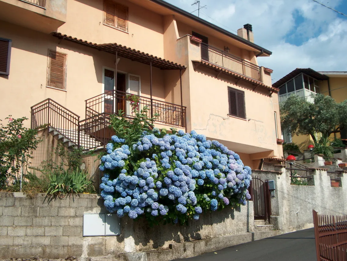 Immagine di Calabria