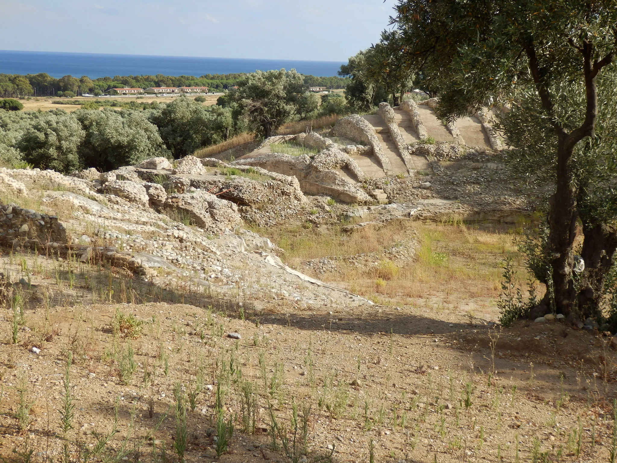 Photo showing: Vue de l’amphithéâtre romain de Scolacium.