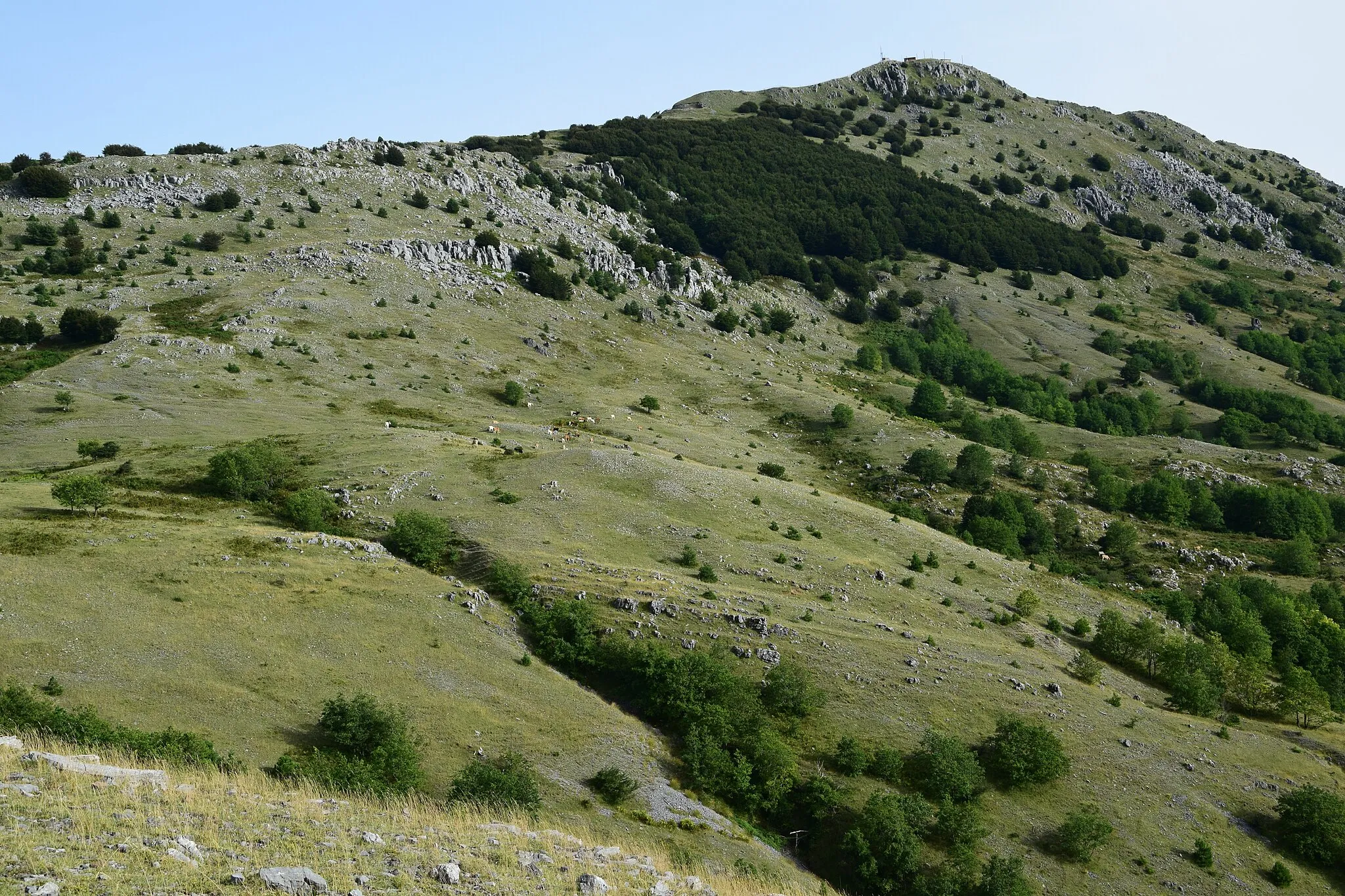 Immagine di Calabria