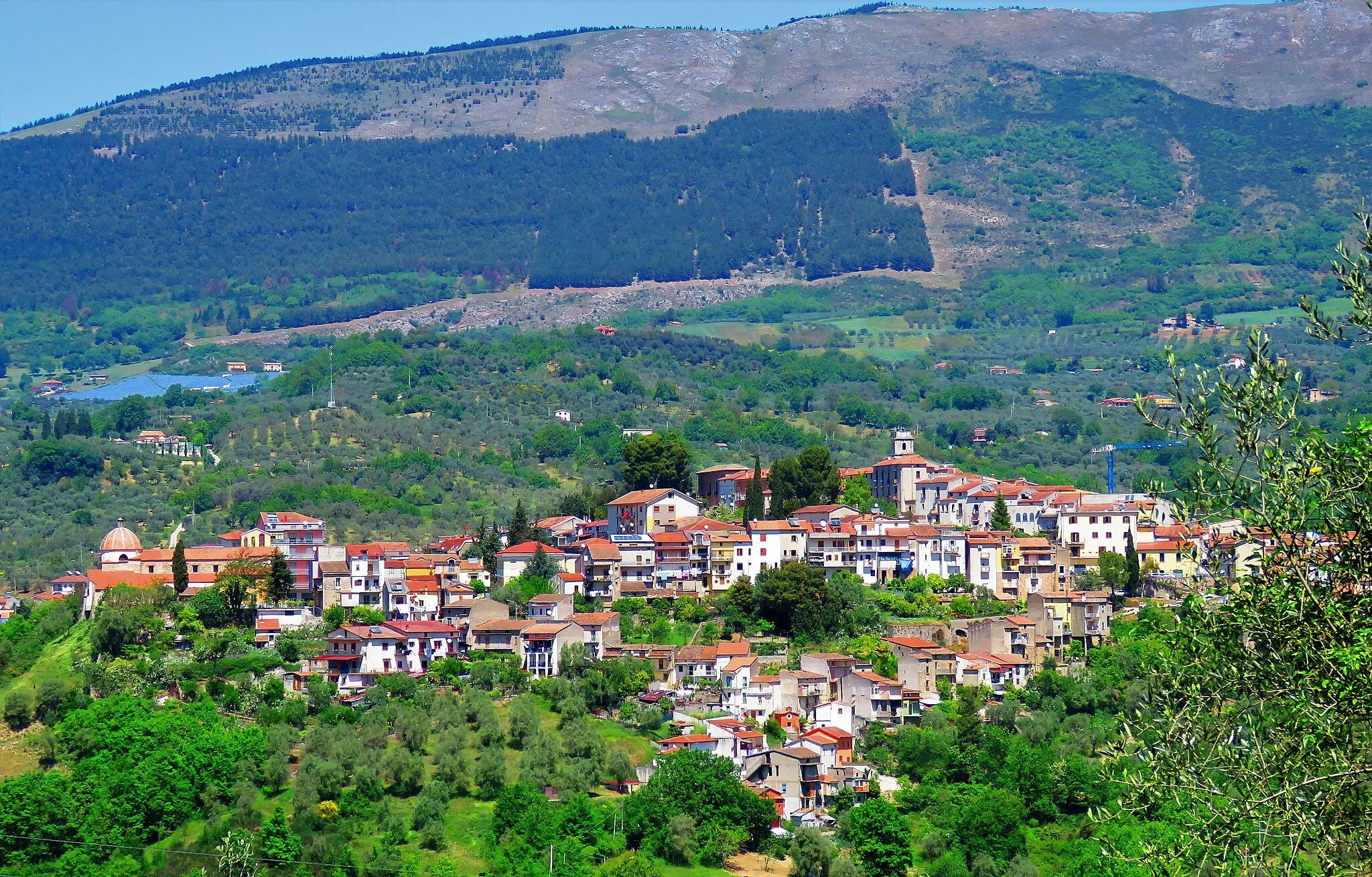 Image of Auletta