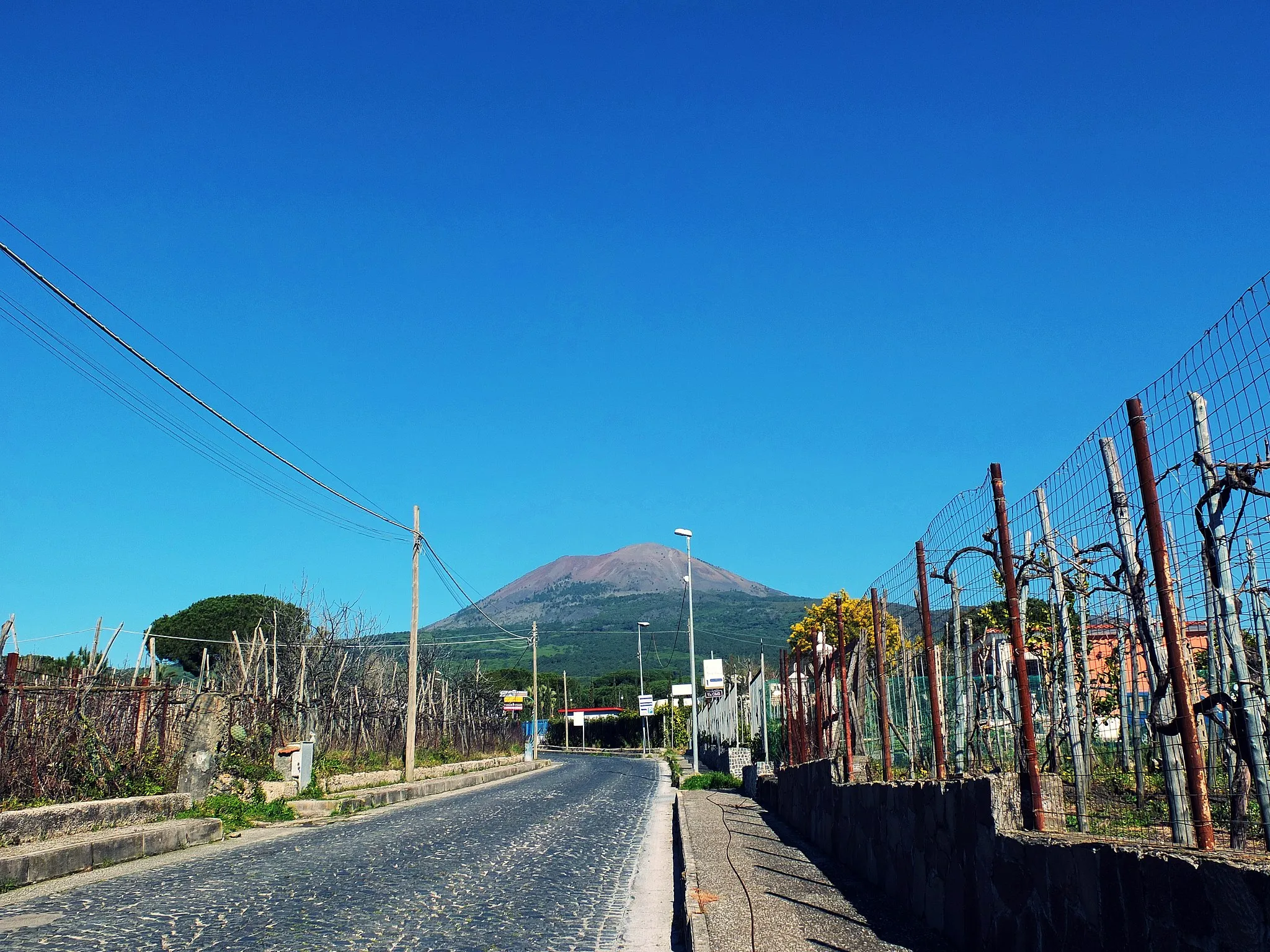 Photo showing: Boscotrecase; Mount Vesuvius;  Lacryma Christi wineyards.