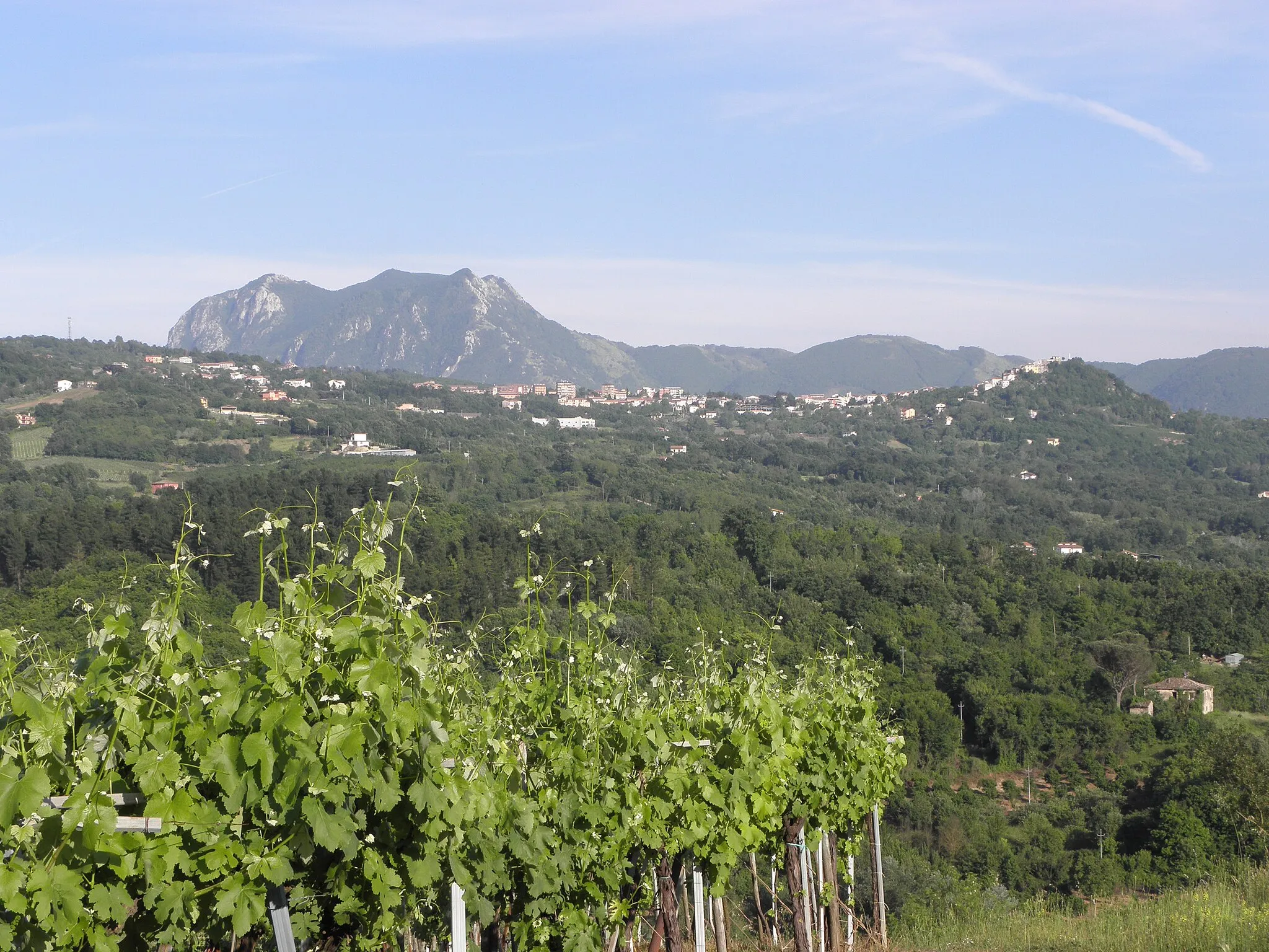 Immagine di Campania