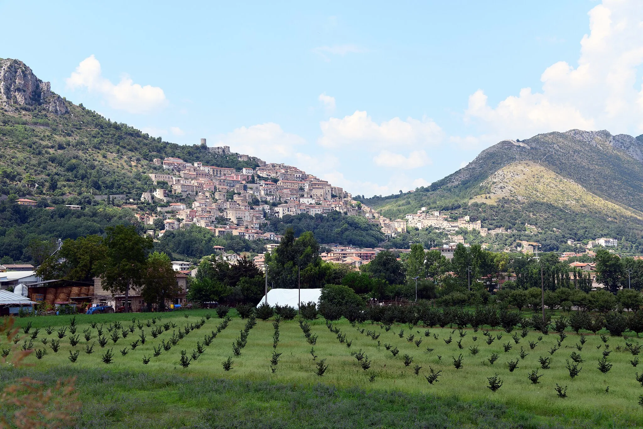 Immagine di Campania